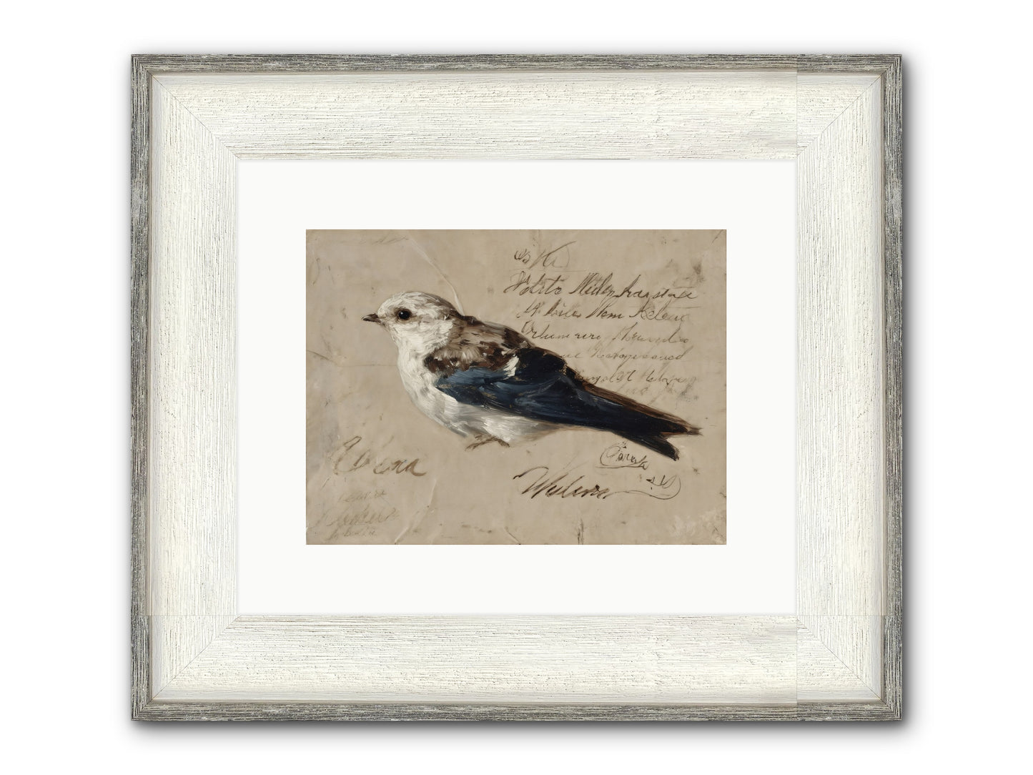 Apollo Rising Framed Print - Driftwood White 12x9