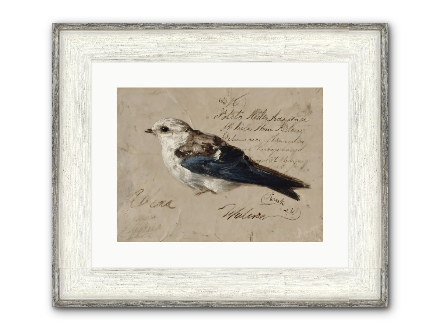 Apollo Rising Framed Print - Driftwood White 16x12