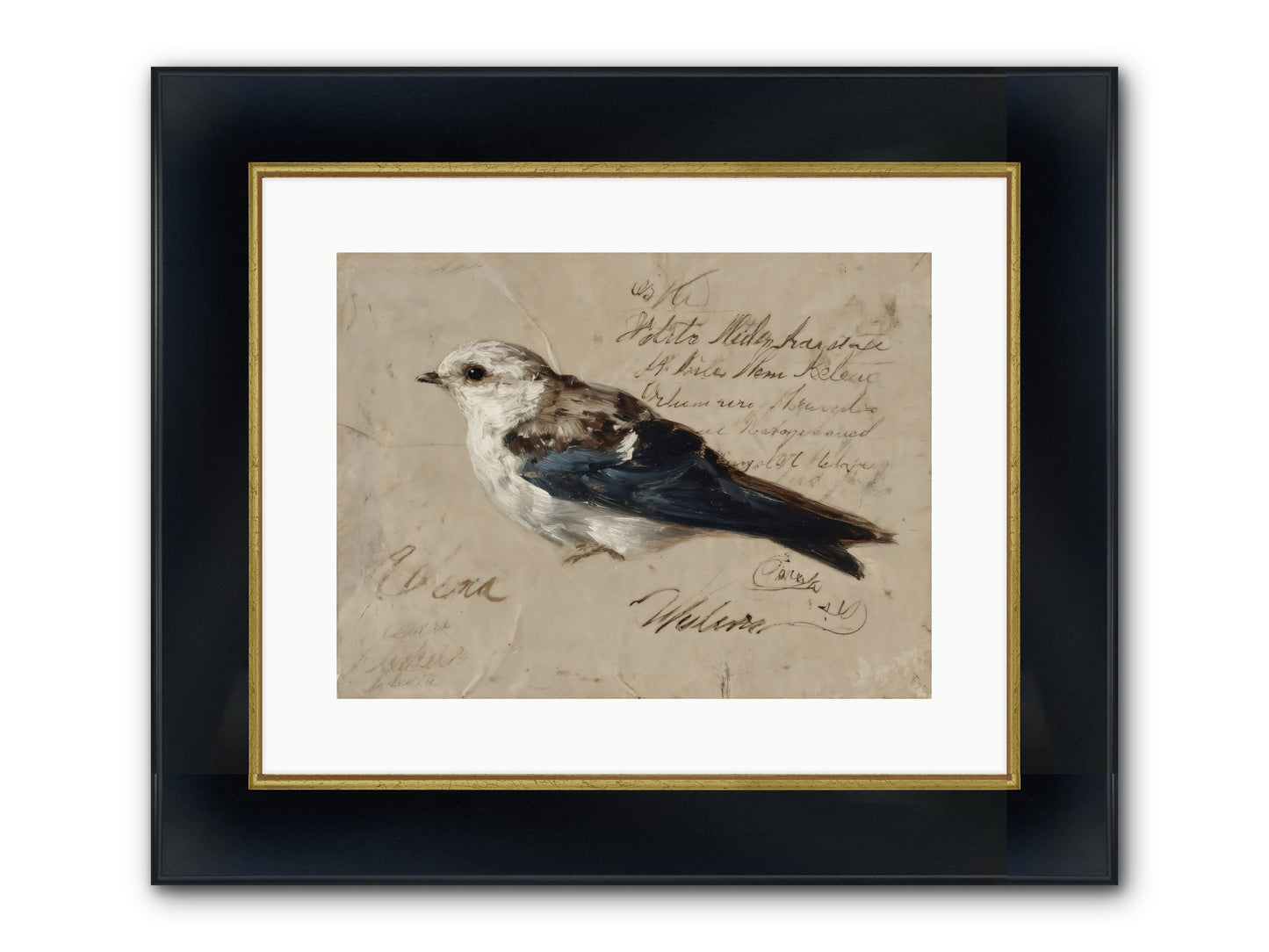 Apollo Rising Framed Print - Wide Black w/Gold 16x12