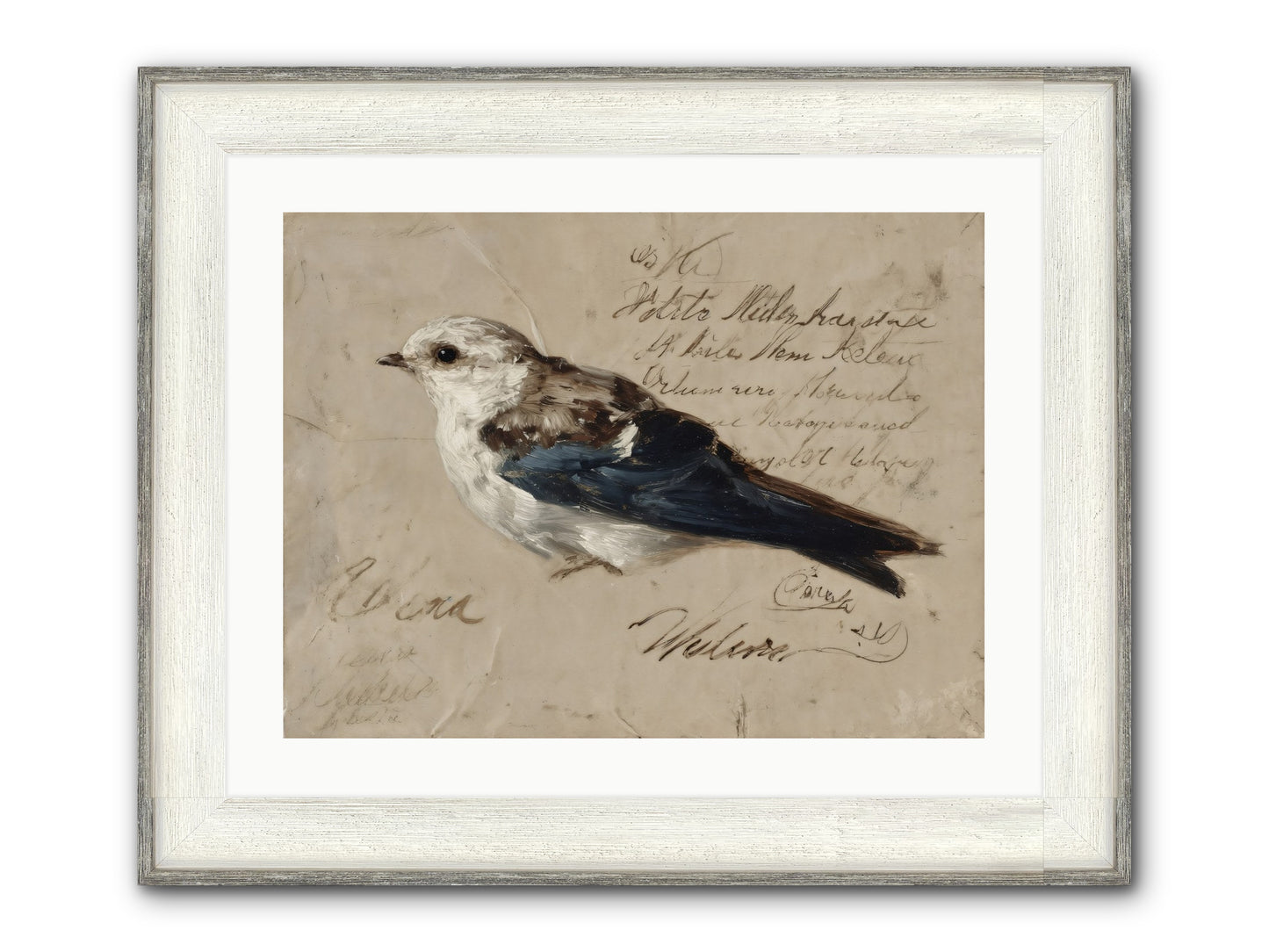 Apollo Rising Framed Print - Driftwood White 24x18