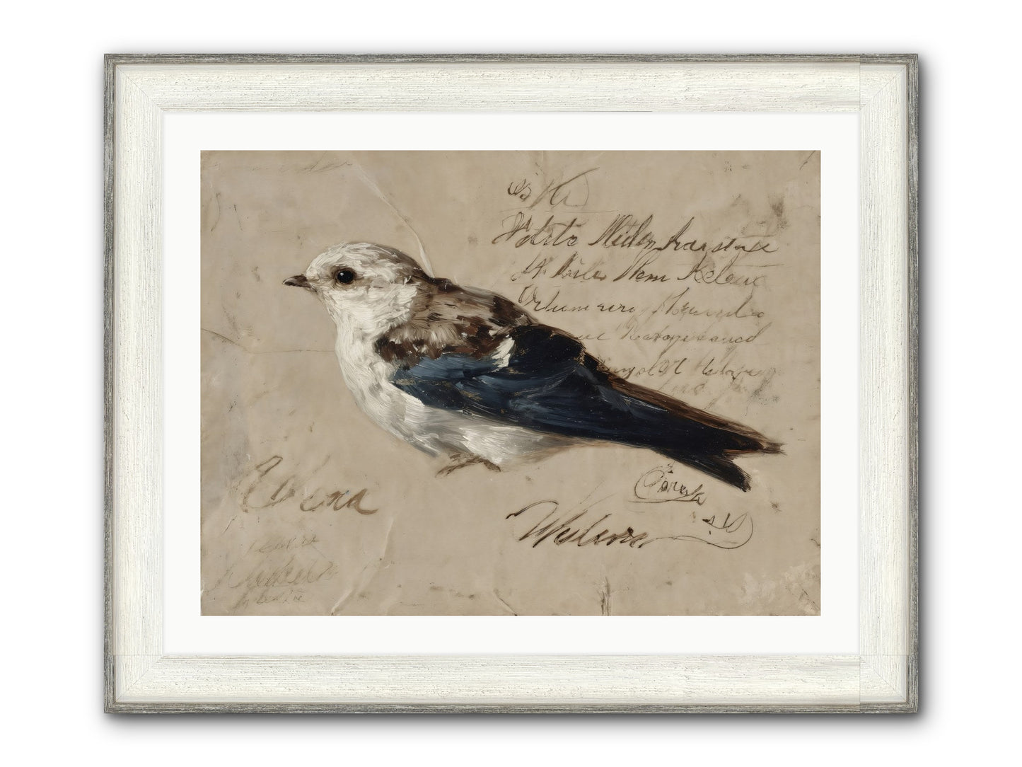Apollo Rising Framed Print - Driftwood White 32x24