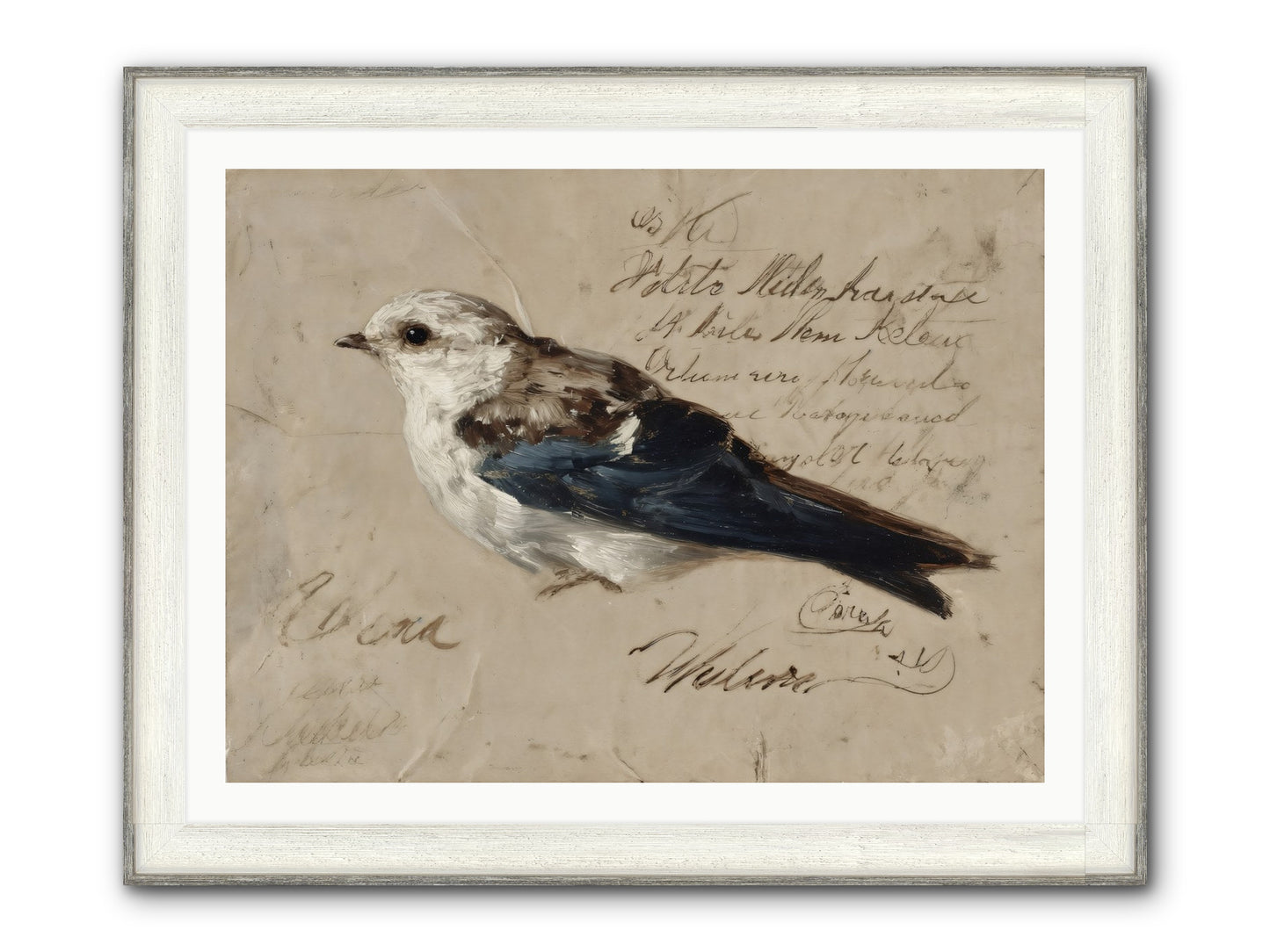 Apollo Rising Framed Print - Driftwood White 40x30