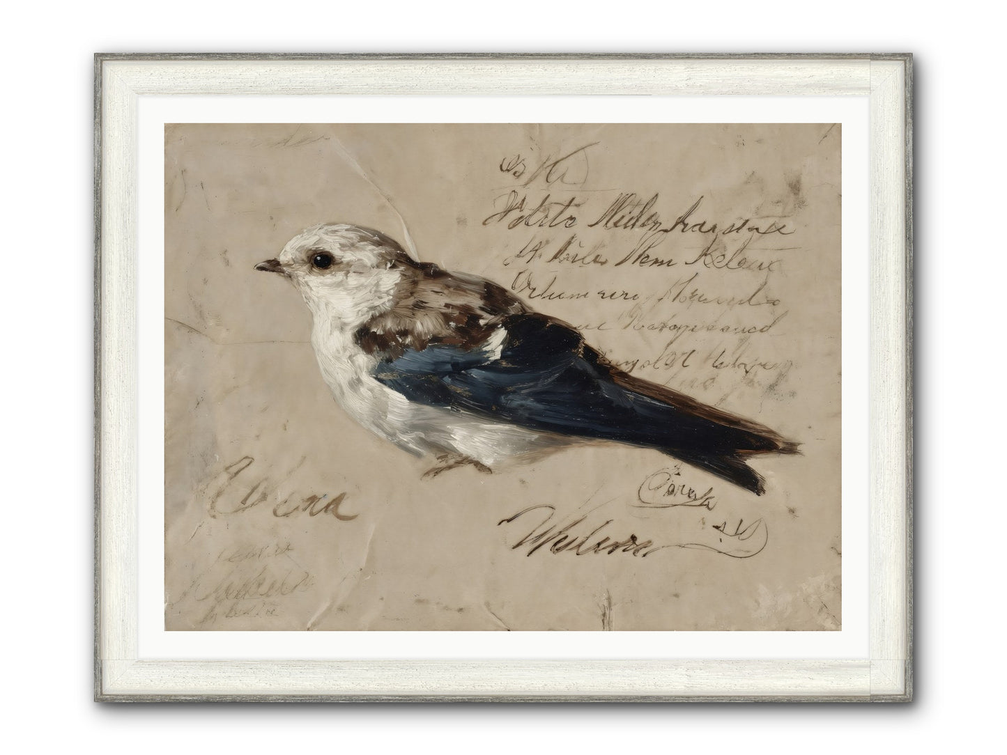 Apollo Rising Framed Print - Driftwood White 48x36