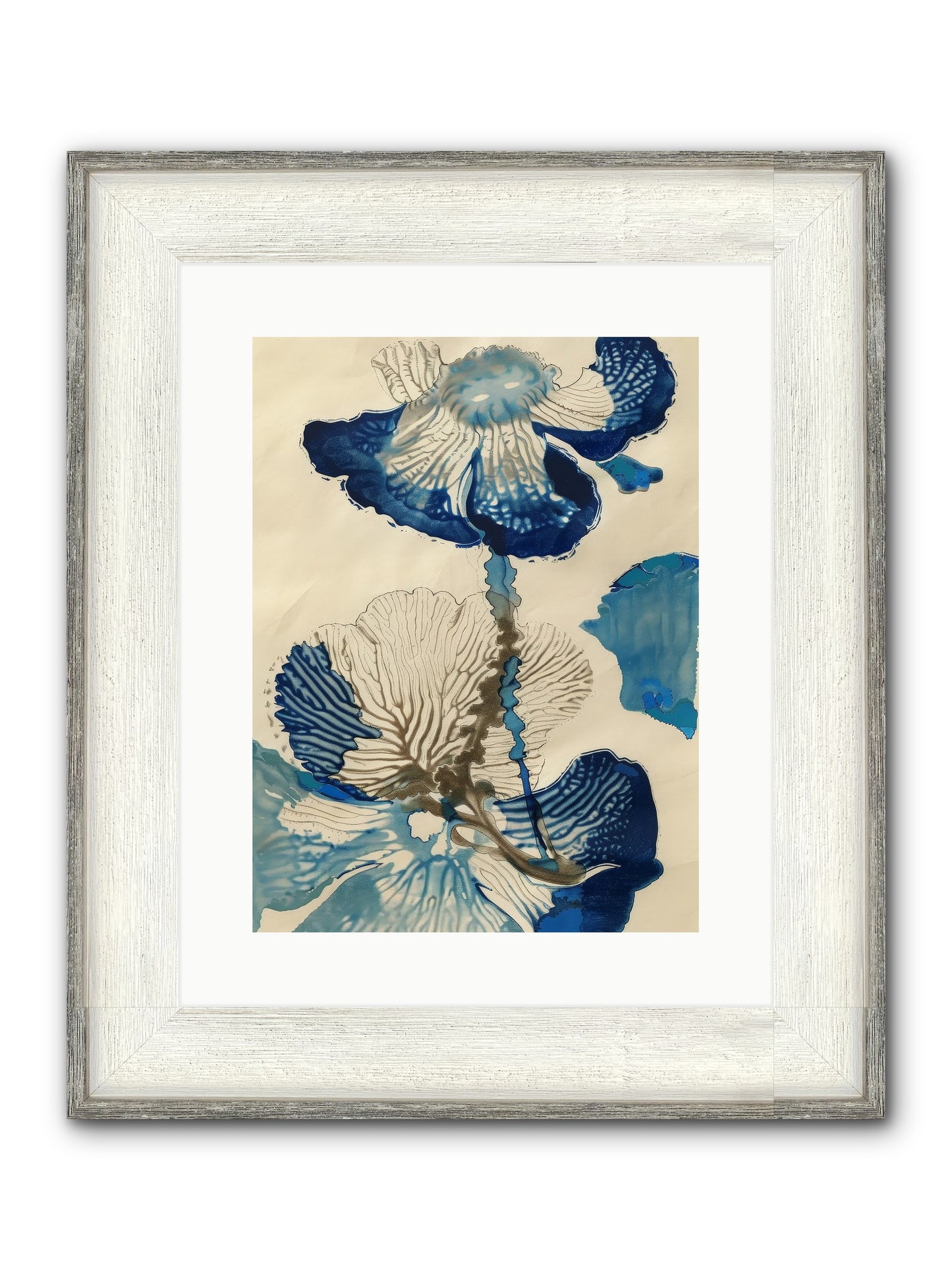Aquatic Botany Framed Print - Driftwood White 12x16