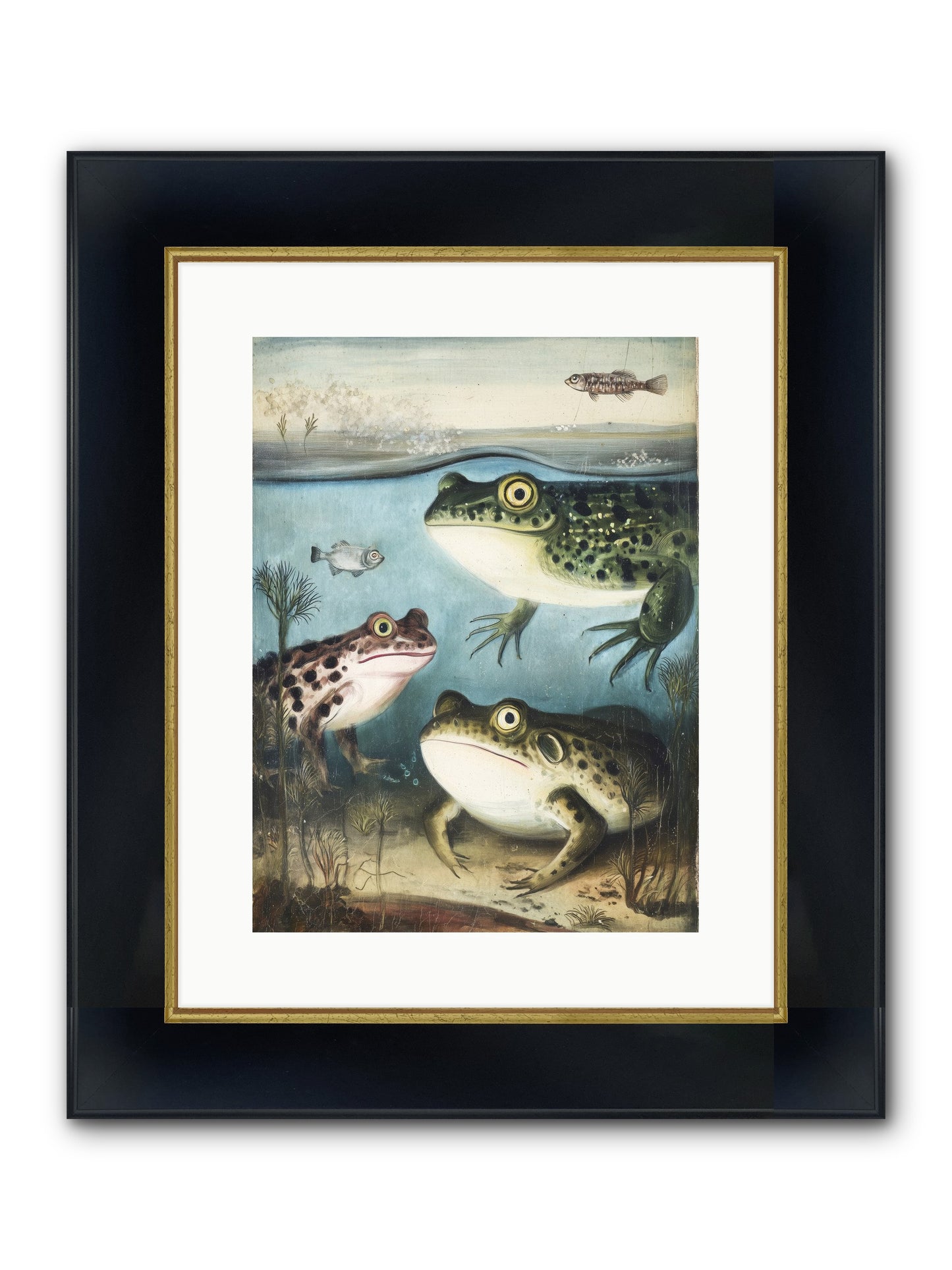 Aquatic Grace Framed Print - Wide Black w/Gold 12x16