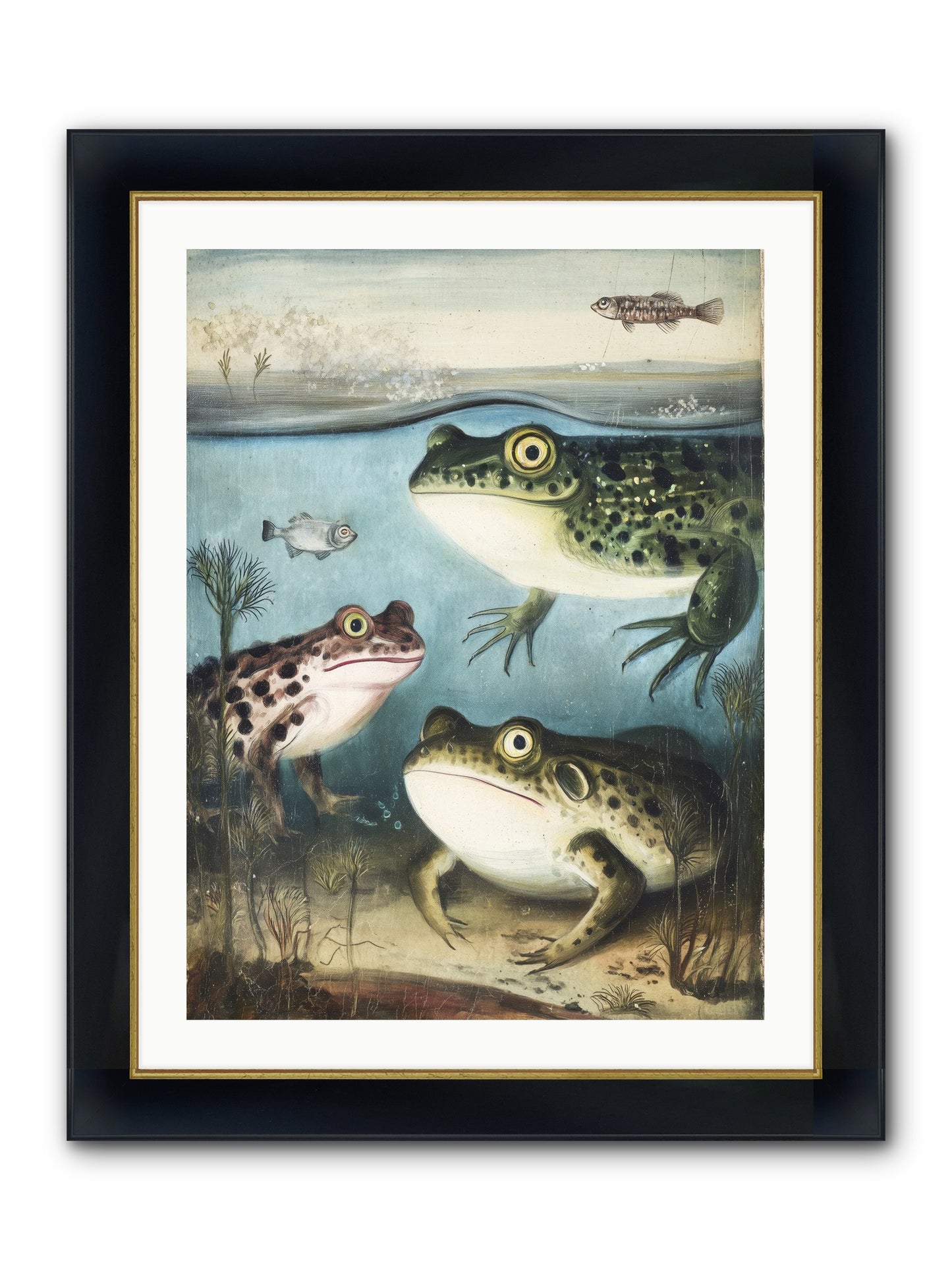 Aquatic Grace Framed Print - Wide Black w/Gold 24x32