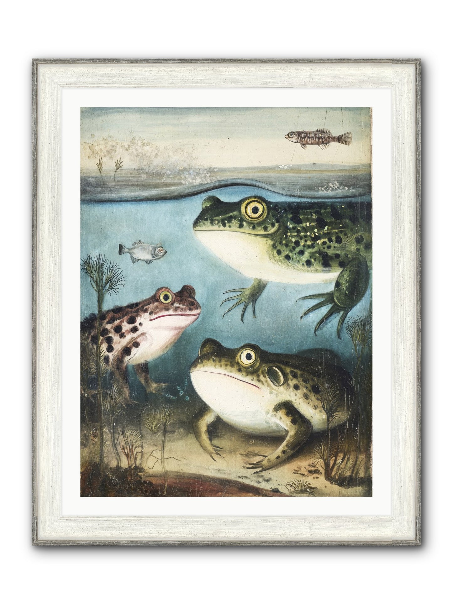 Aquatic Grace Framed Print - Driftwood White 30x40