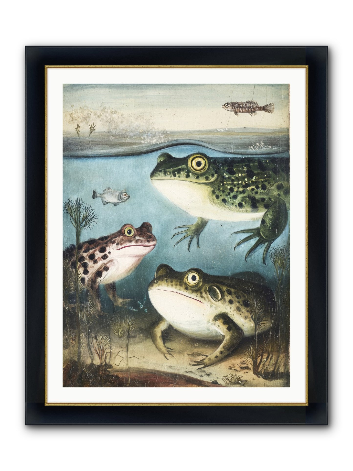 Aquatic Grace Framed Print - Wide Black w/Gold 30x40