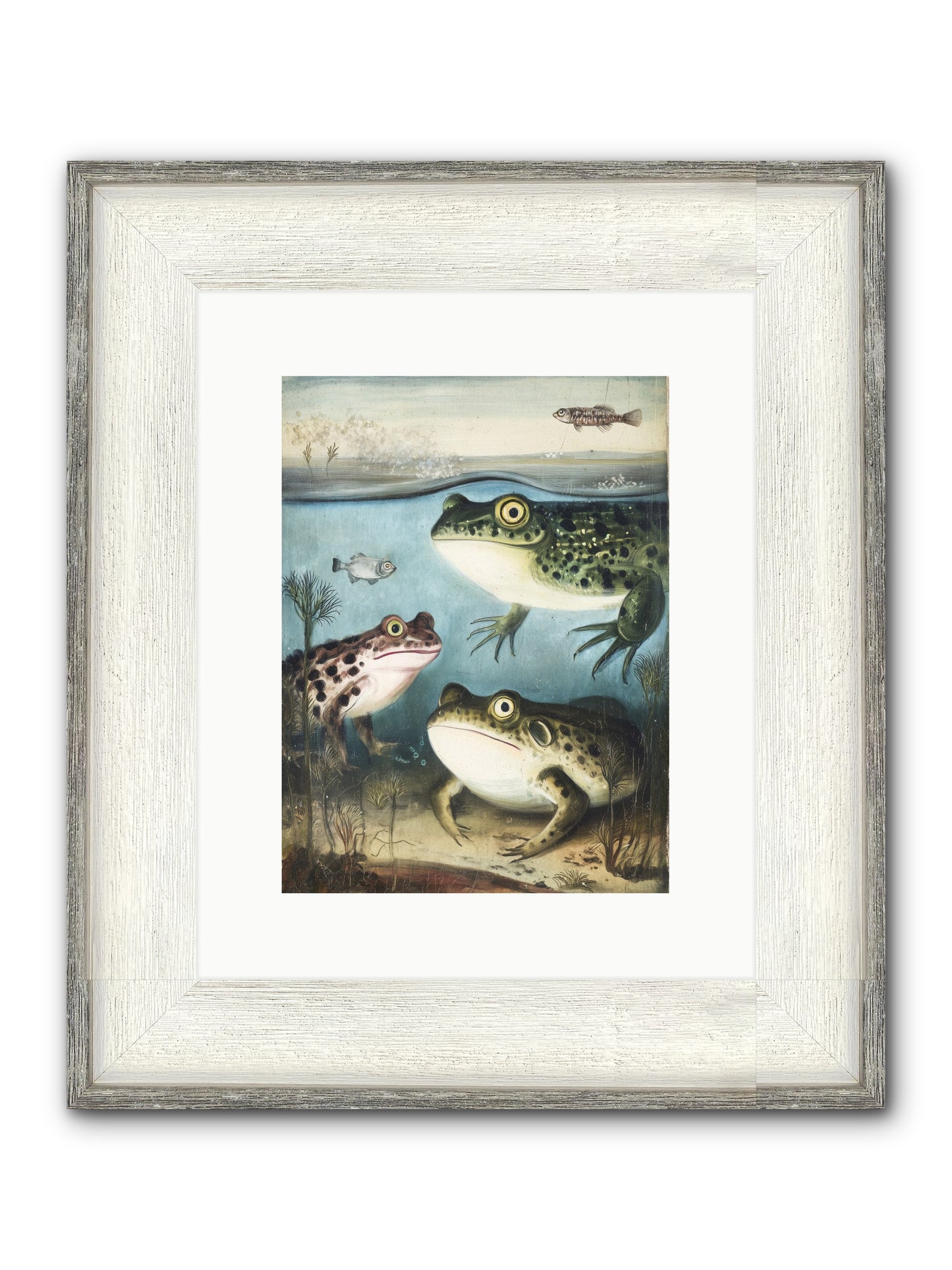 Aquatic Grace Framed Print - Driftwood White 9x12