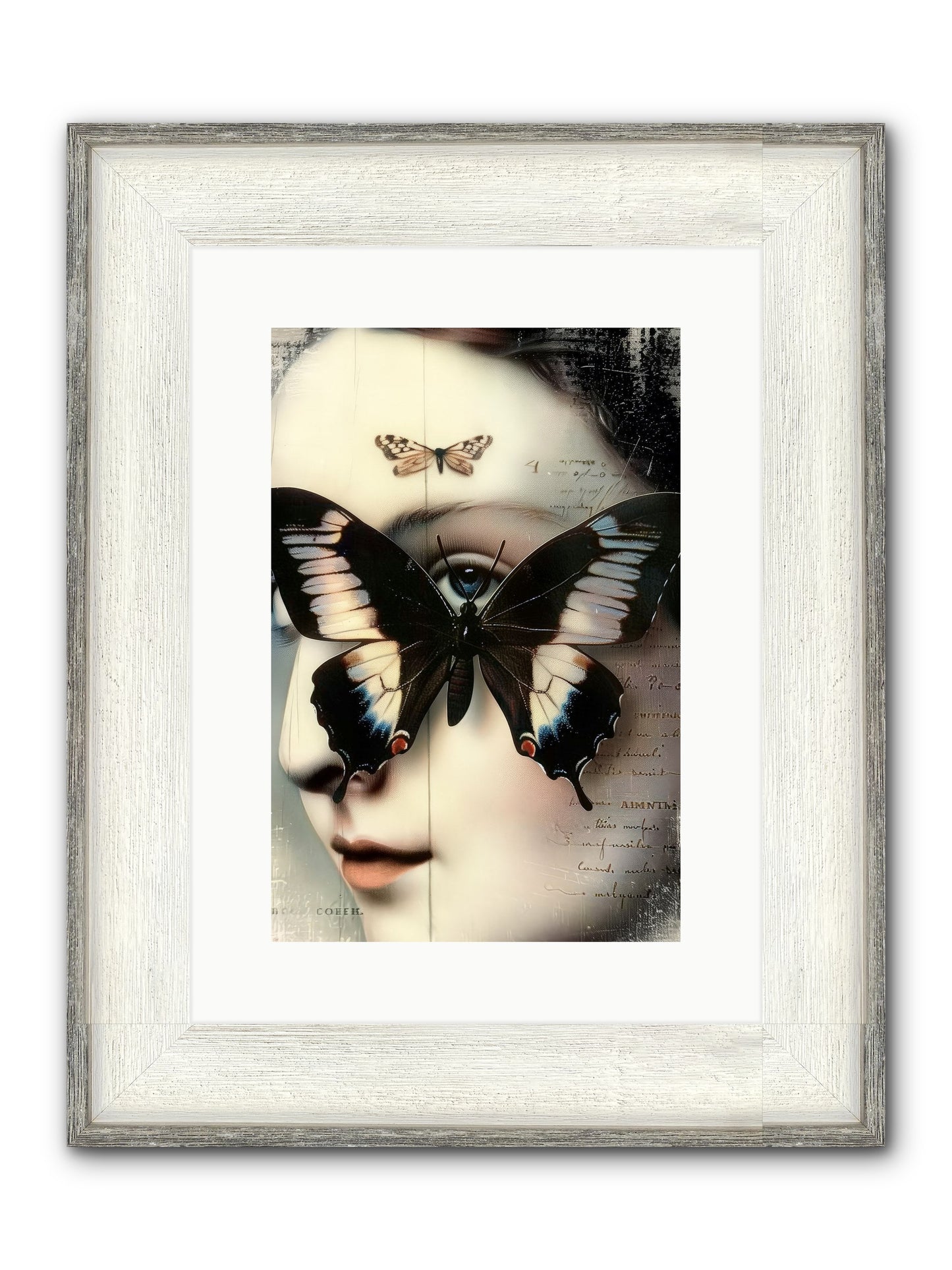 Butterfly's Last Dance Framed Print - Driftwood White 10x15