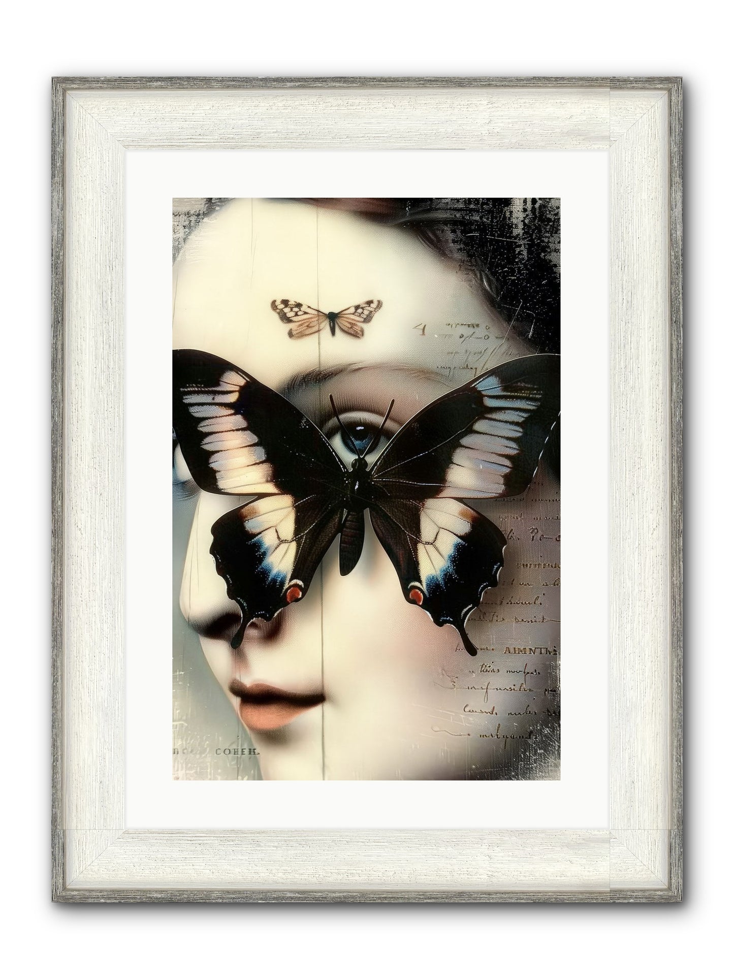 Butterfly's Last Dance Framed Print - Driftwood White 16x24