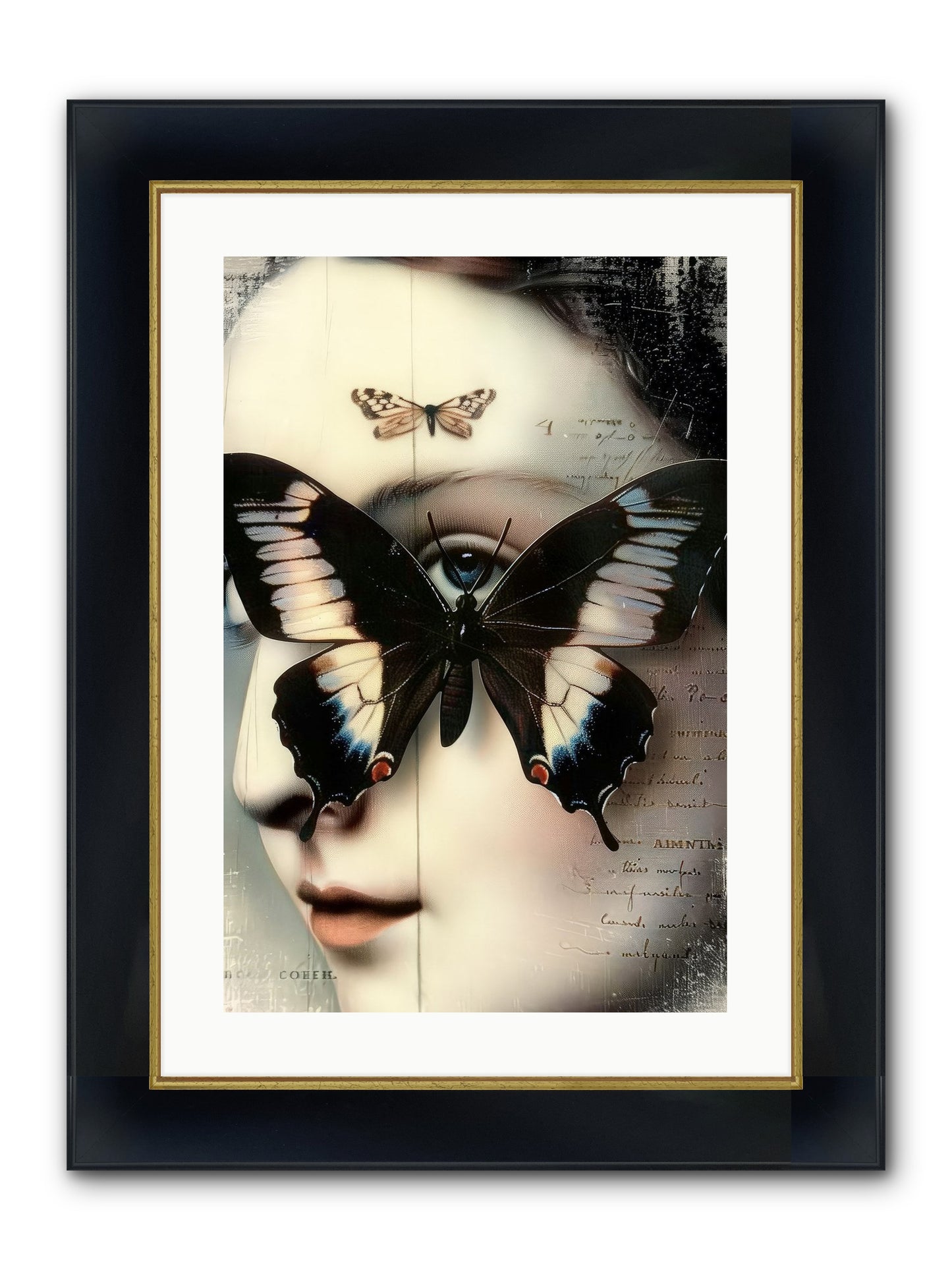 Butterfly's Last Dance Framed Print - Wide Black w/Gold 16x24