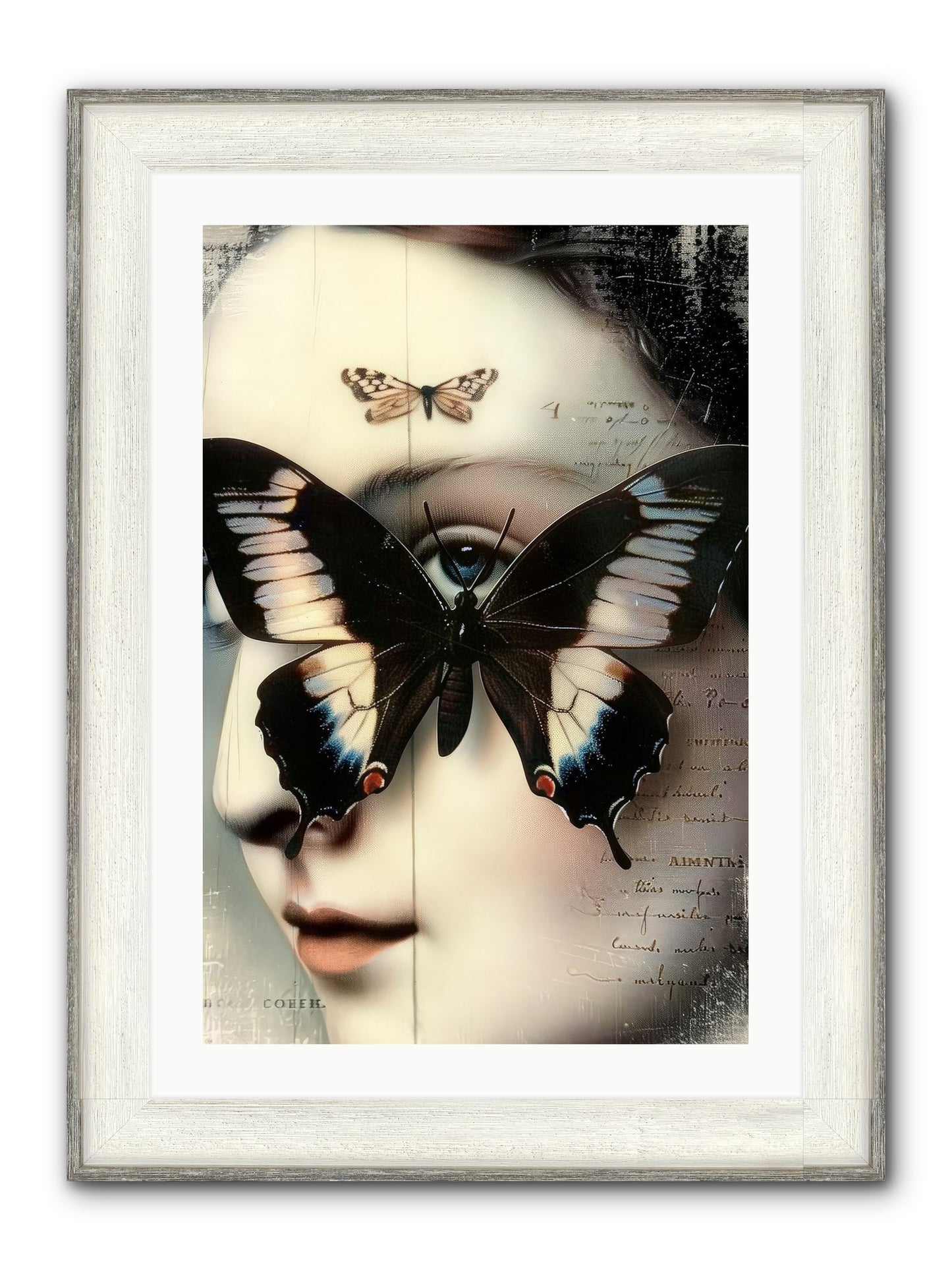 Butterfly's Last Dance Framed Print - Driftwood White 20x30