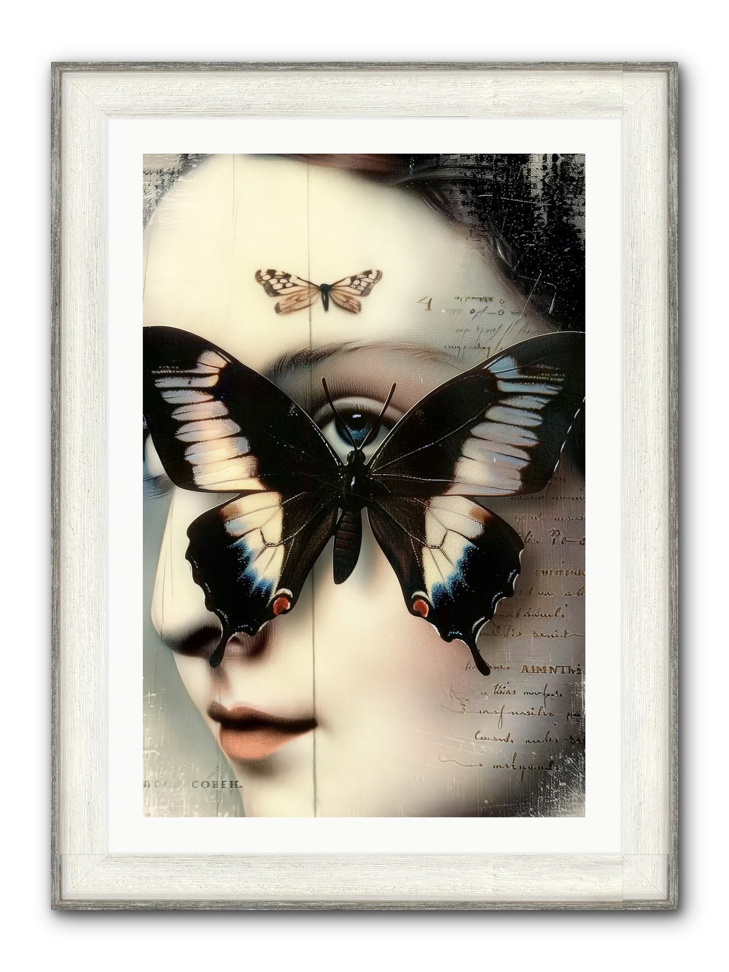 Butterfly's Last Dance Framed Print - Driftwood White 24x36