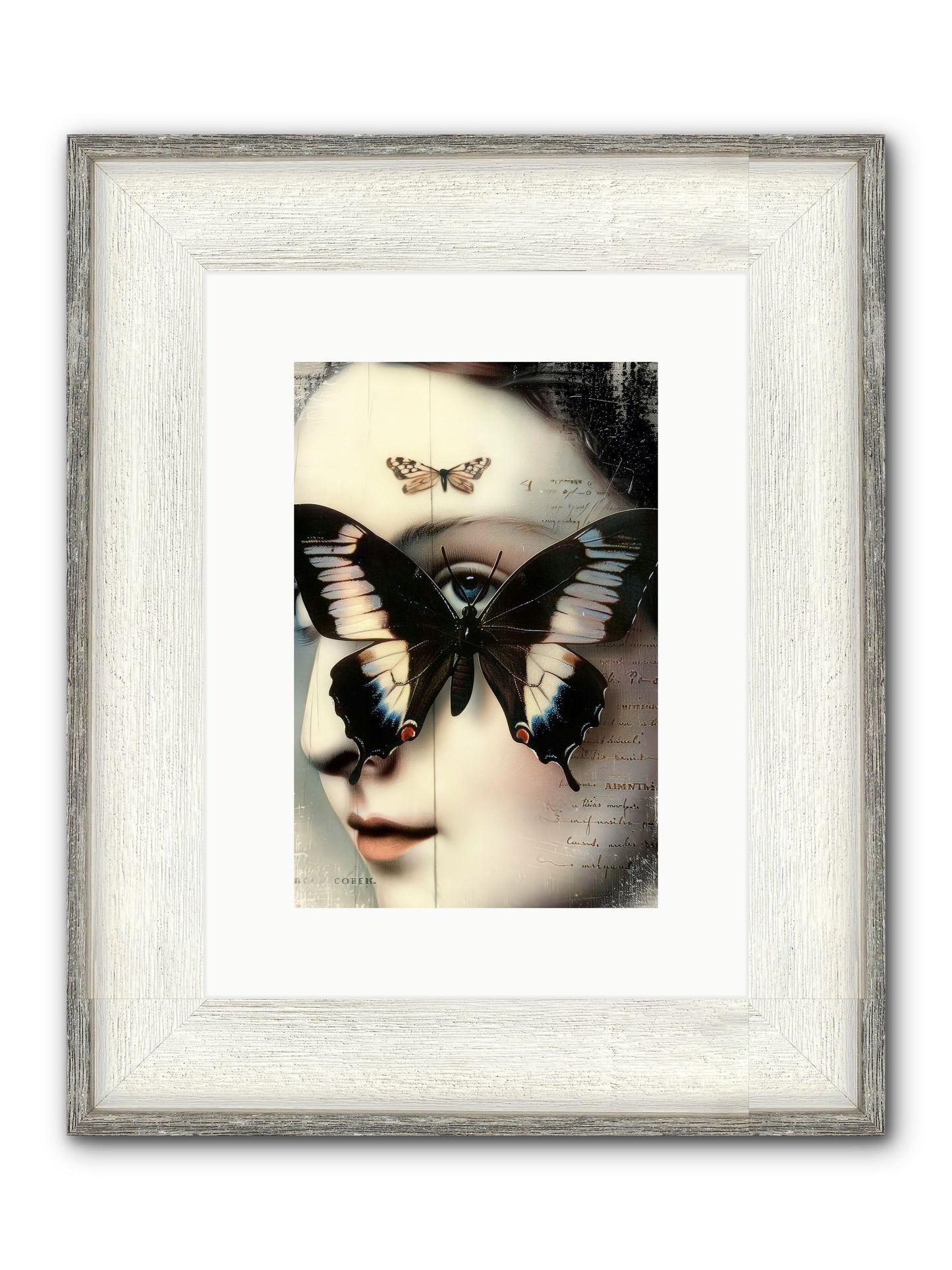Butterfly's Last Dance Framed Print - Driftwood White 8x12