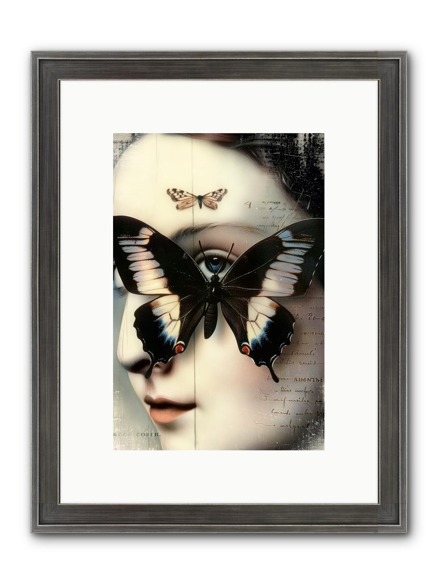 Butterfly's Last Dance Framed Print - Slimwoods Black/Silver 8x12