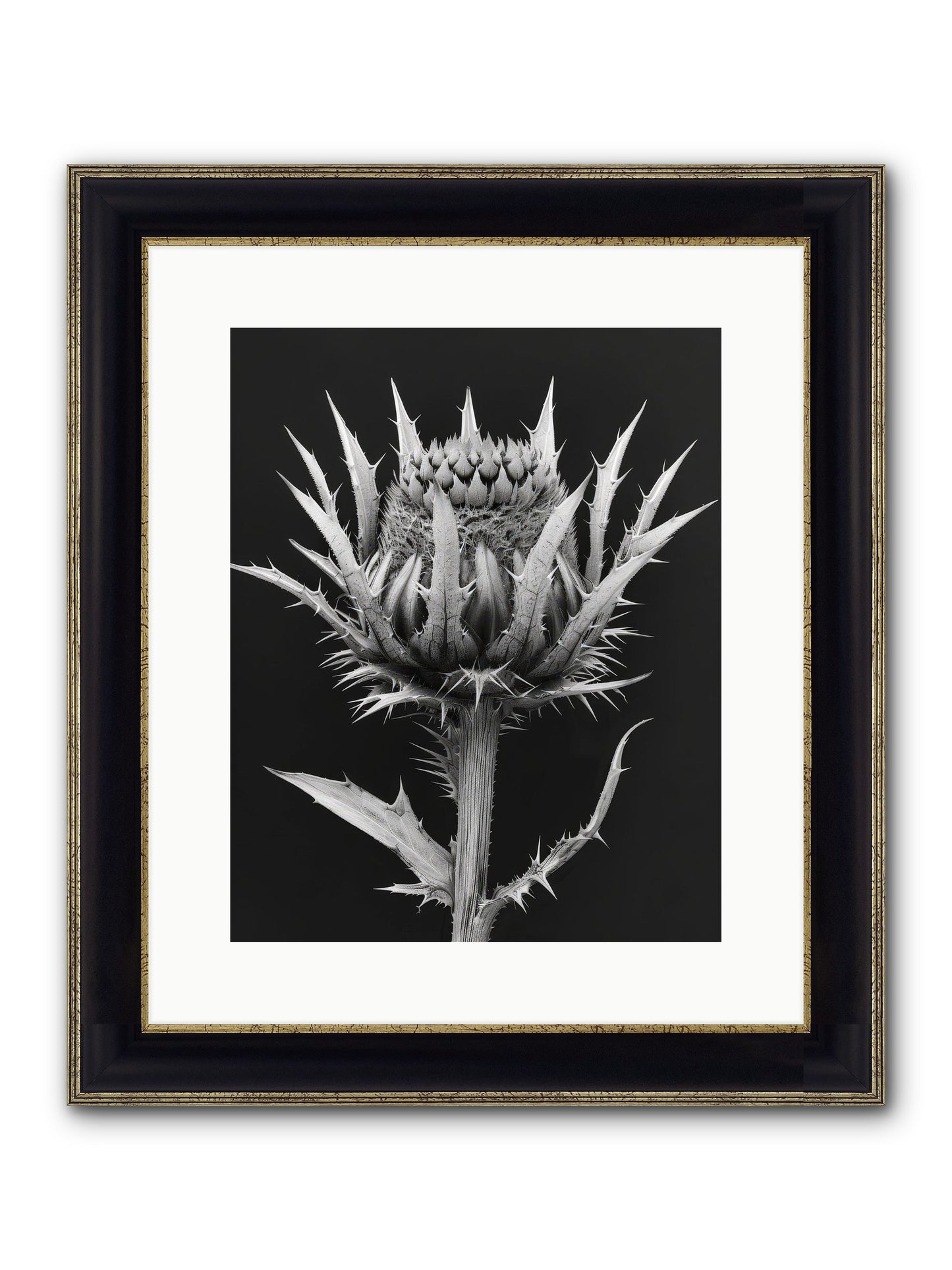 Chardon Bleu Framed Print - Black & Gold 12x15