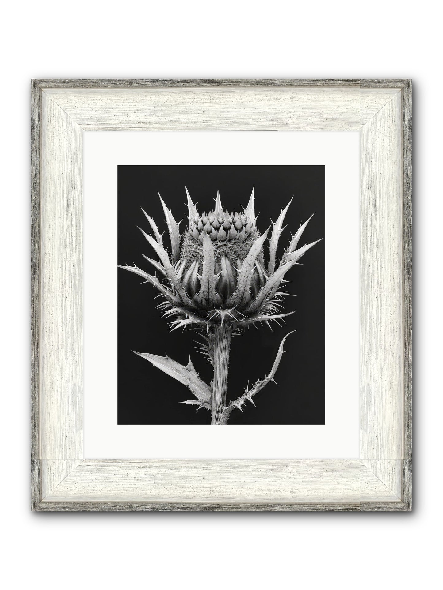 Chardon Bleu Framed Print - Driftwood White 12x15