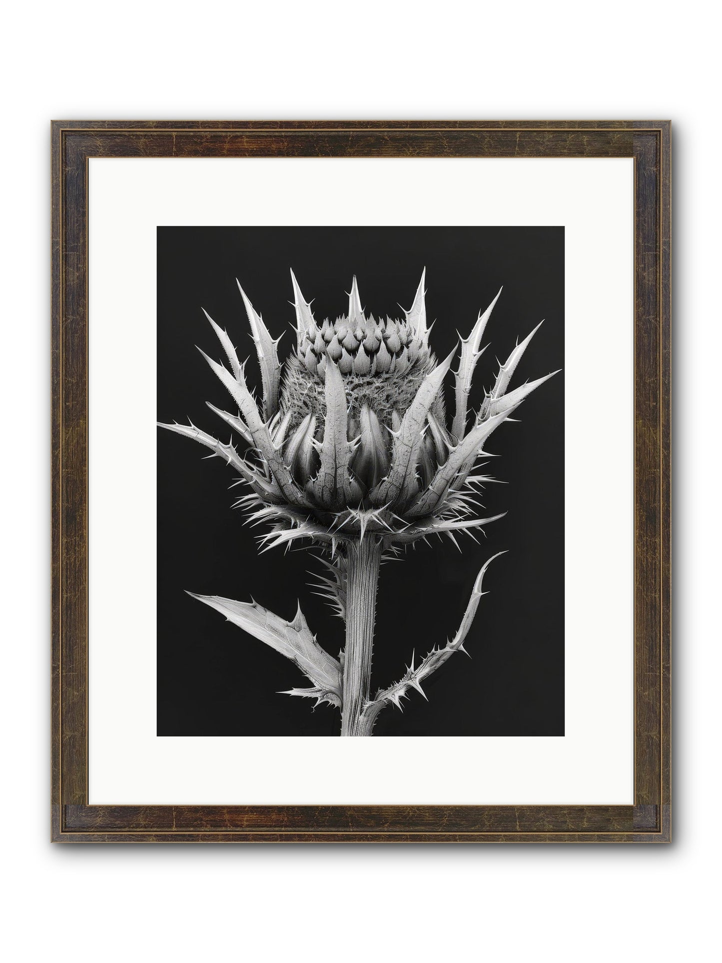 Chardon Bleu Framed Print - Slimwoods Black/Gold 12x15