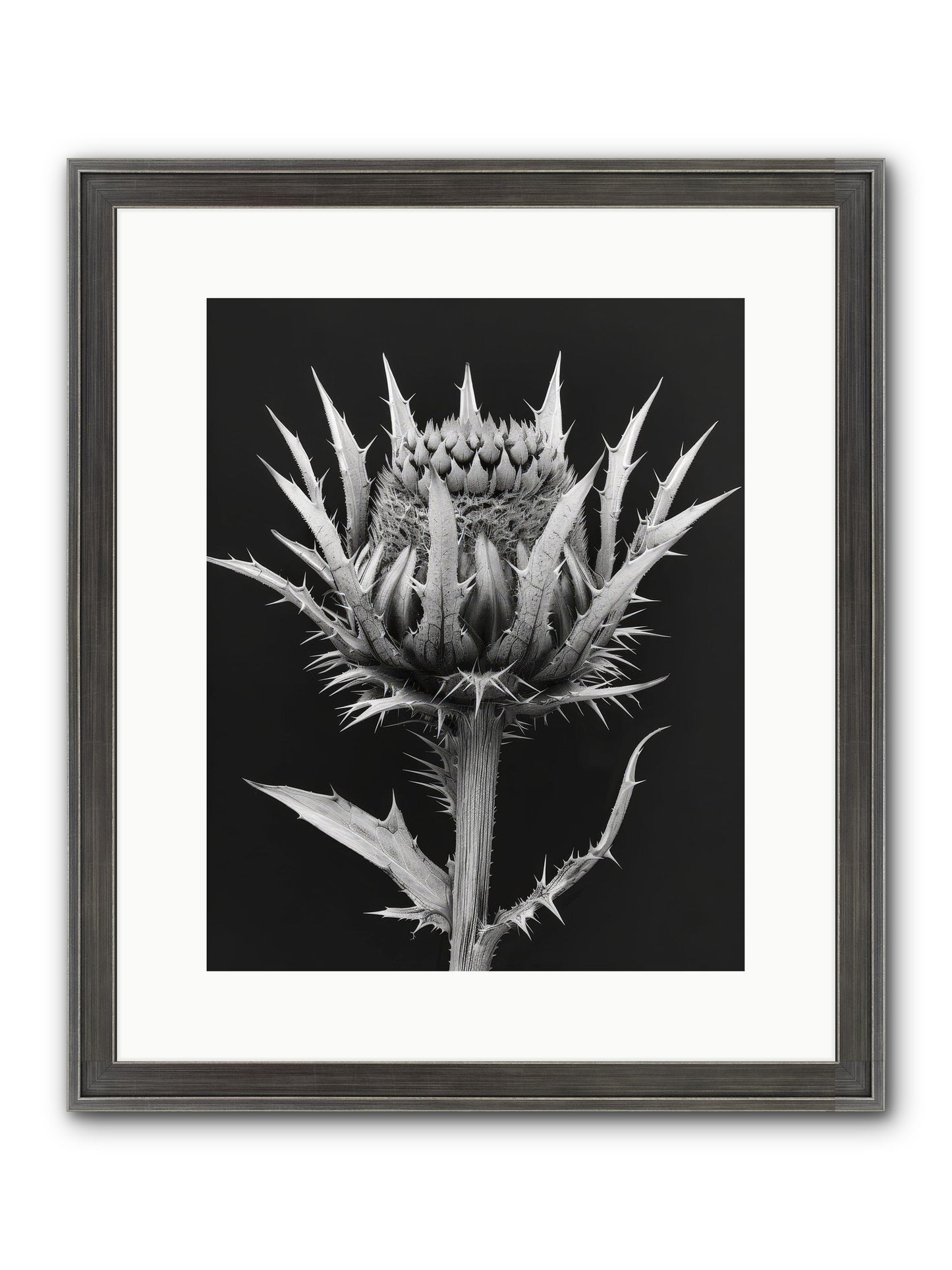 Chardon Bleu Framed Print - Slimwoods Black/Silver 12x15