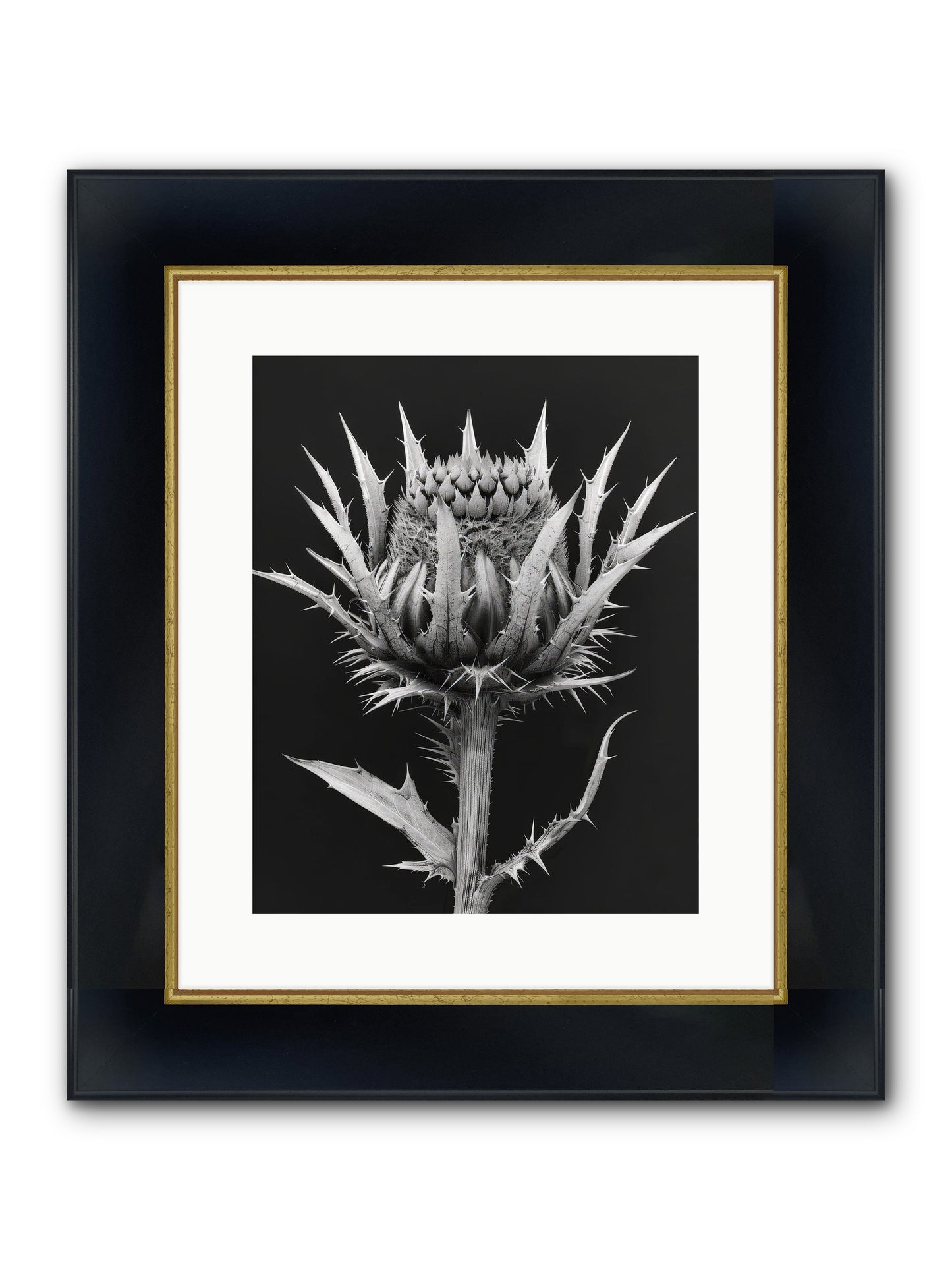 Chardon Bleu Framed Print - Wide Black w/Gold 12x15
