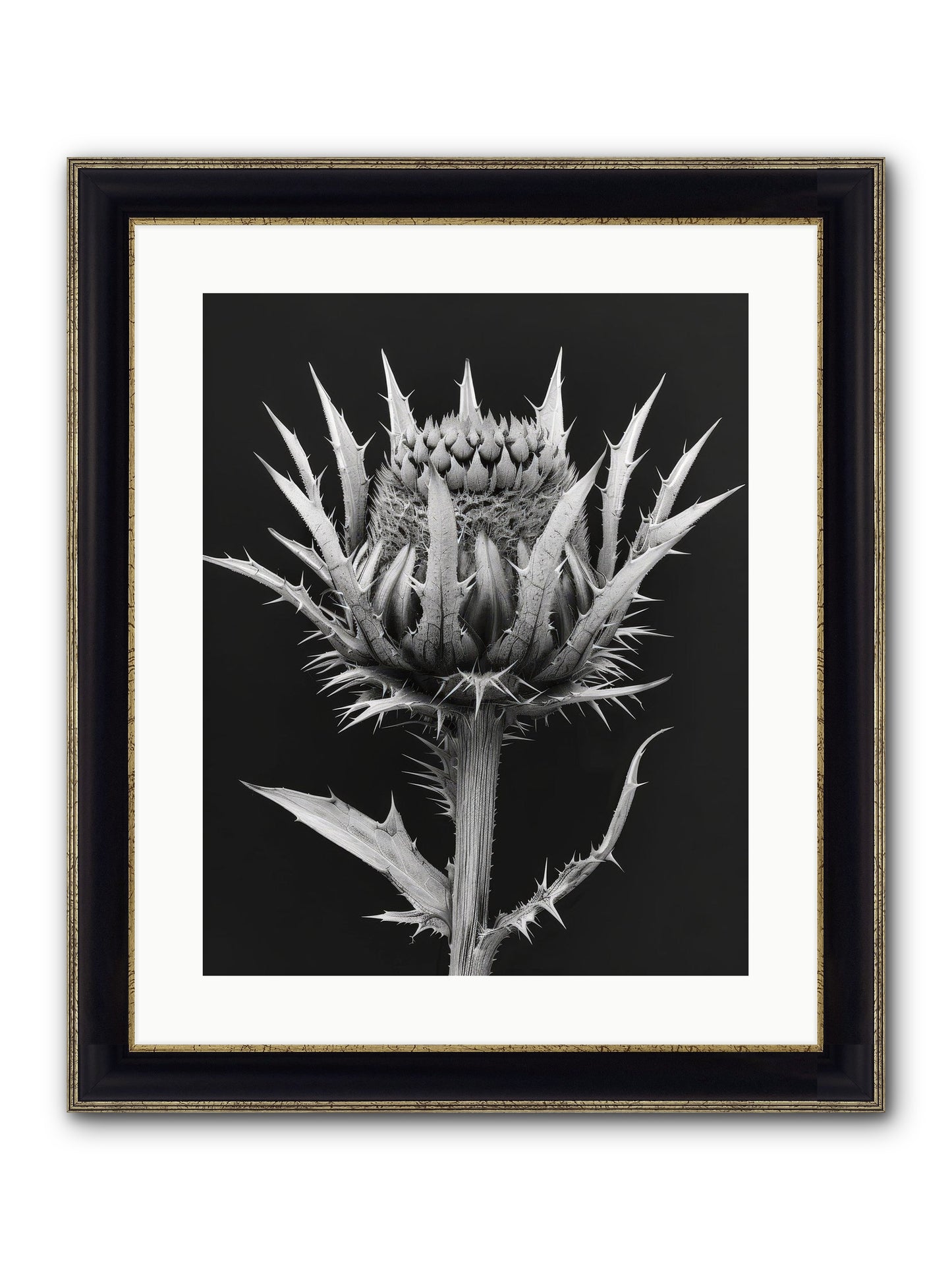 Chardon Bleu Framed Print - Black & Gold 16x20