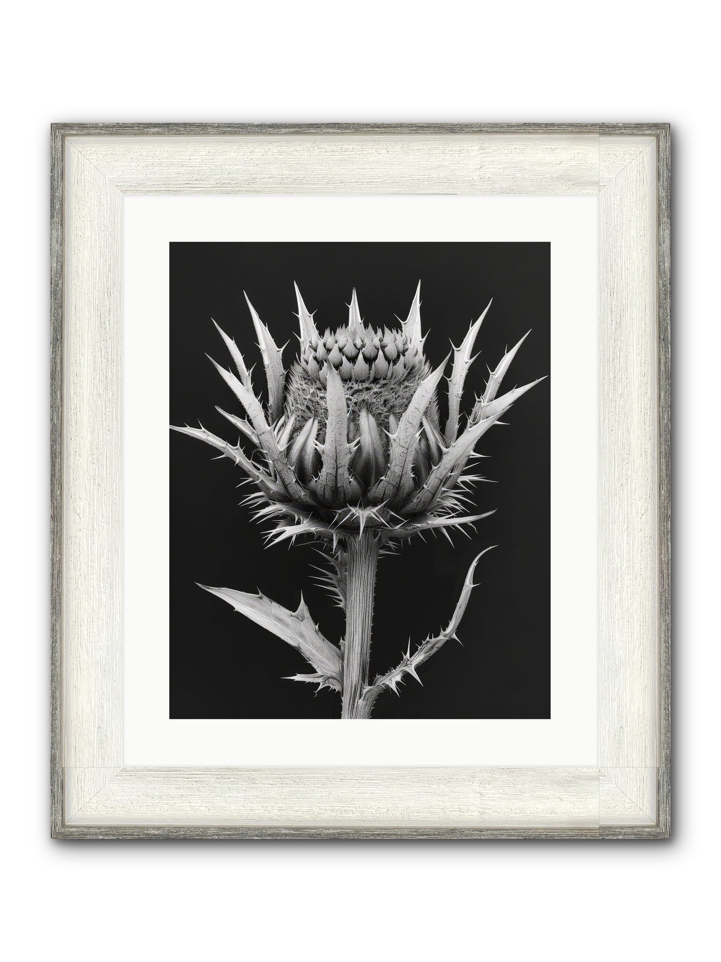 Chardon Bleu Framed Print - Driftwood White 16x20