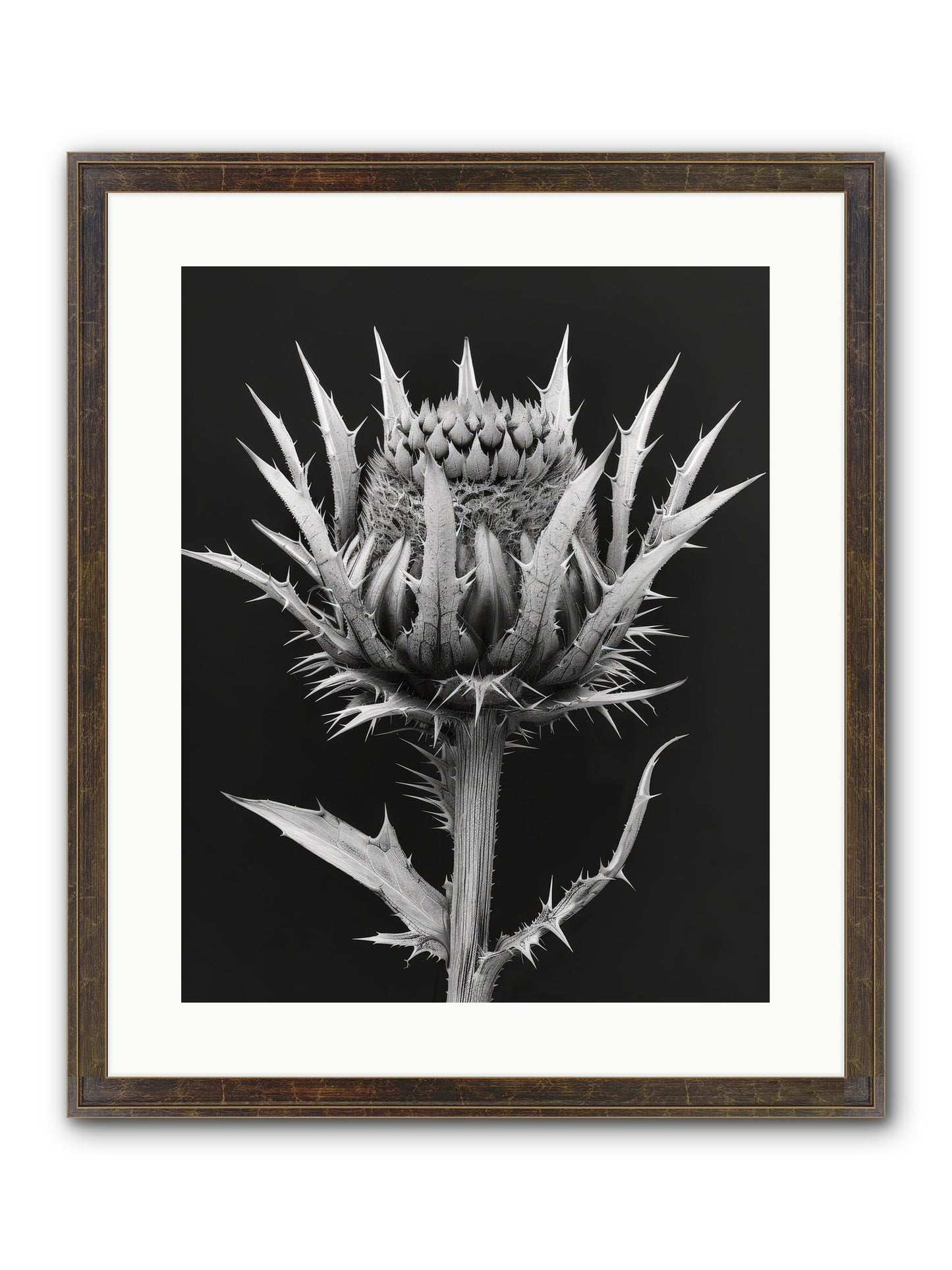 Chardon Bleu Framed Print - Slimwoods Black/Gold 16x20