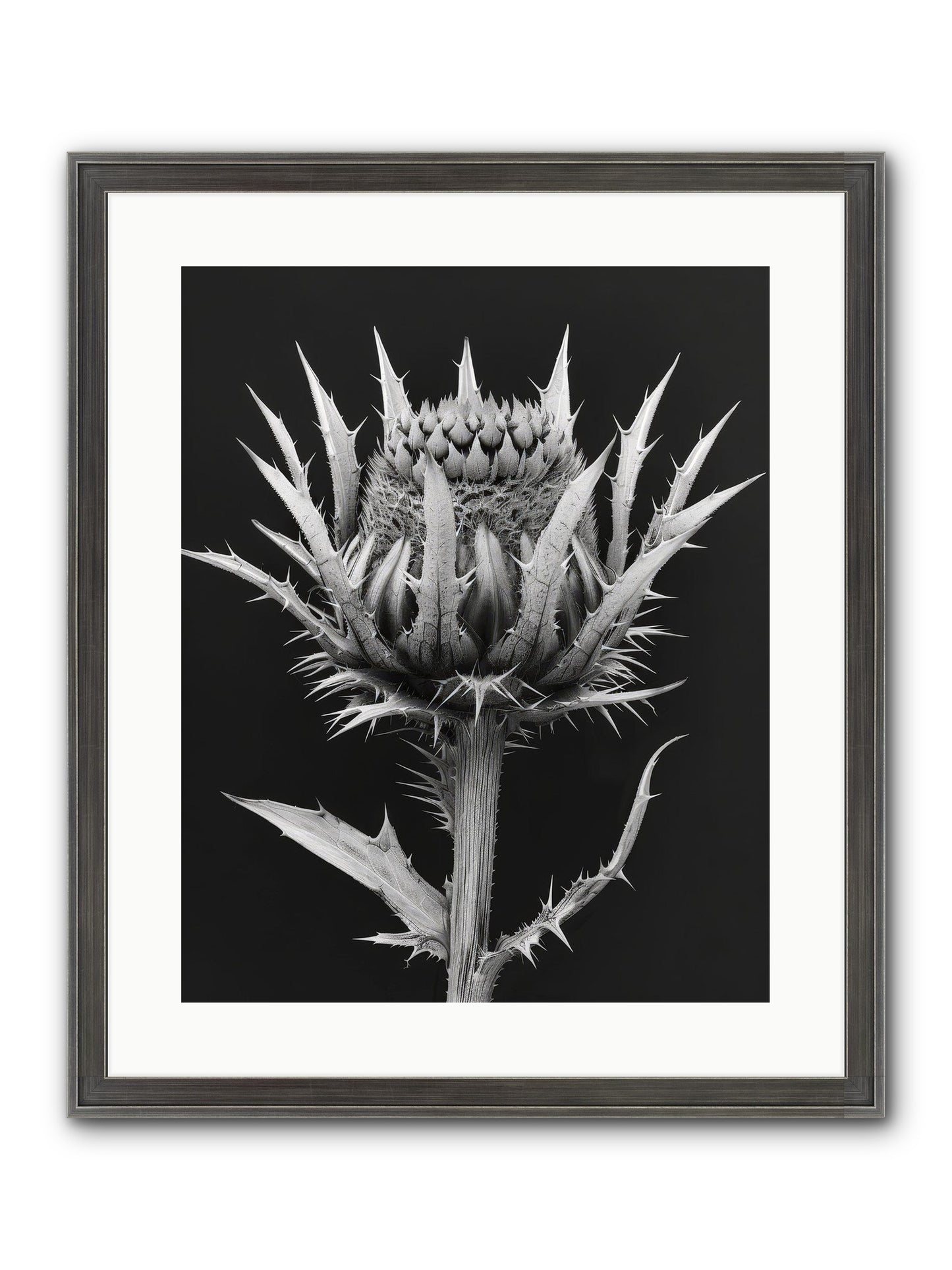 Chardon Bleu Framed Print - Slimwoods Black/Silver 16x20