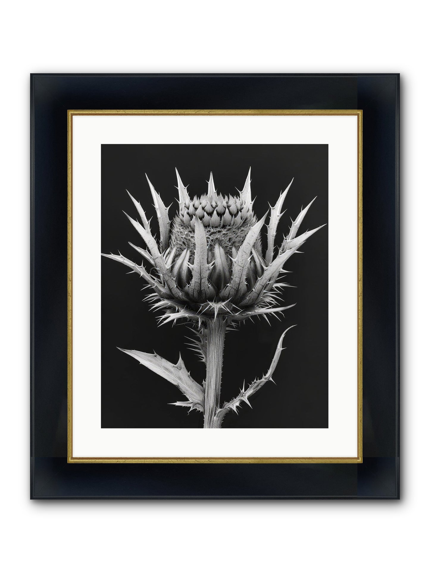 Chardon Bleu Framed Print - Wide Black w/Gold 16x20