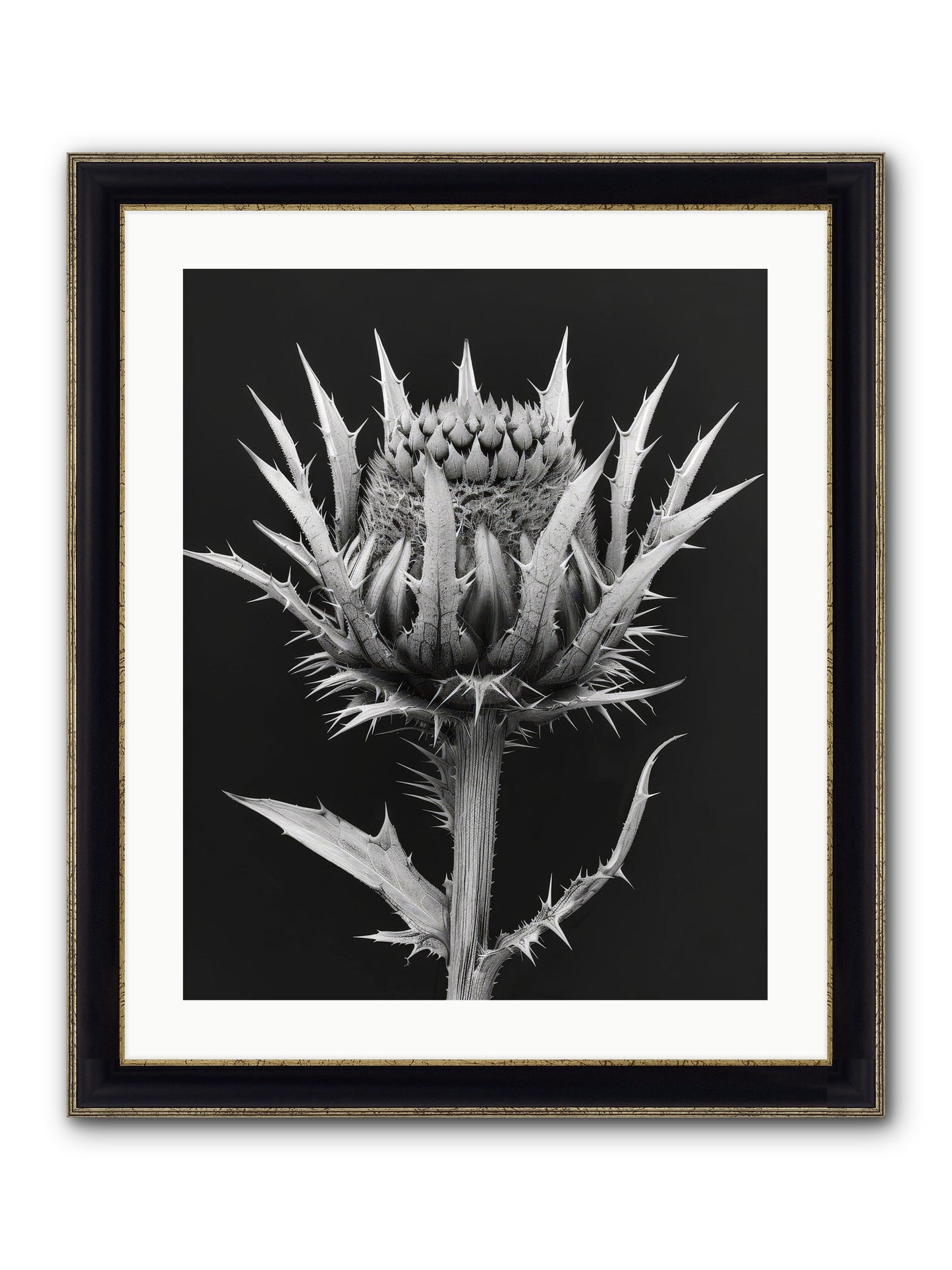 Chardon Bleu Framed Print - Black & Gold 20x25