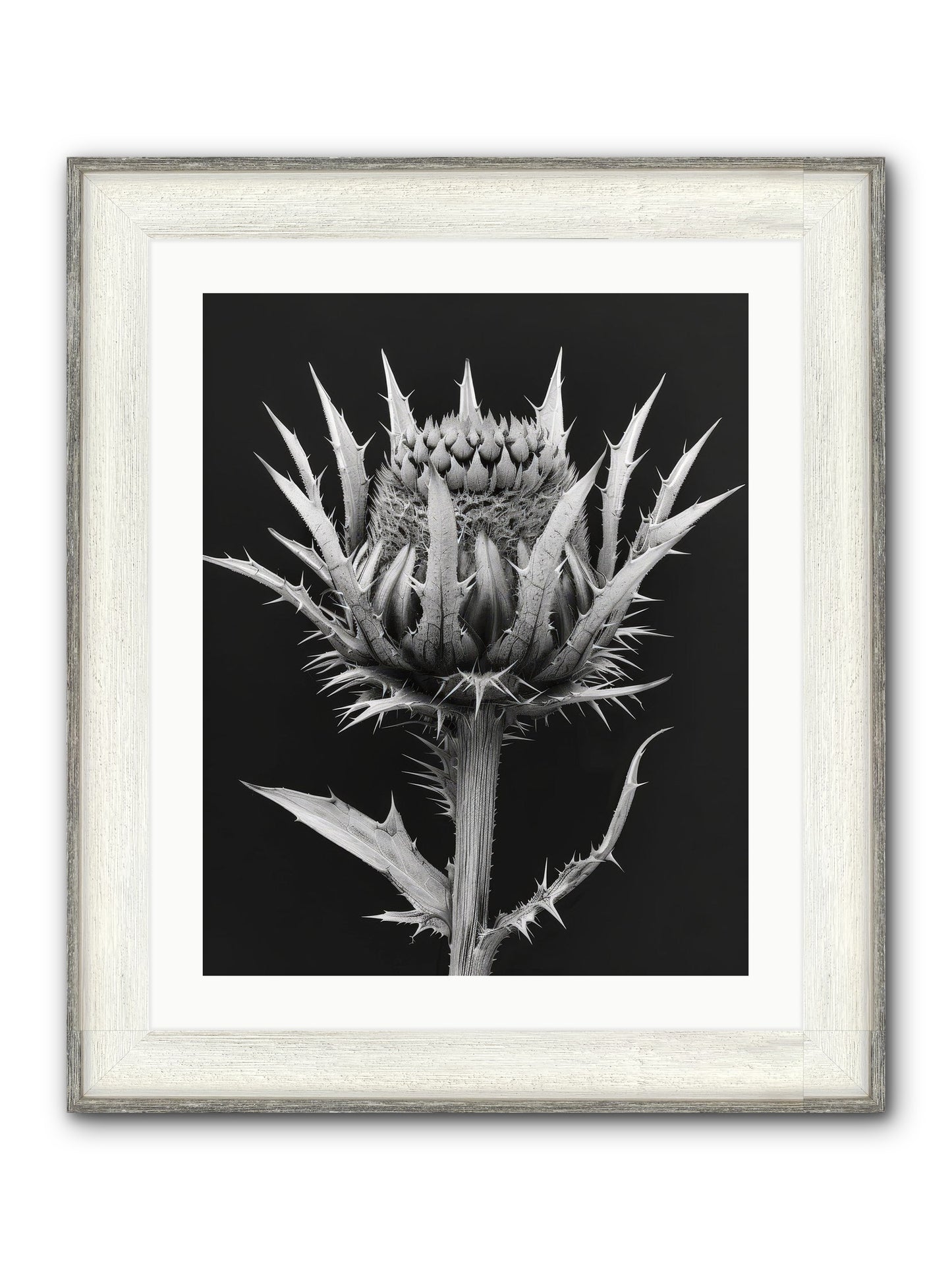 Chardon Bleu Framed Print - Driftwood White 20x25