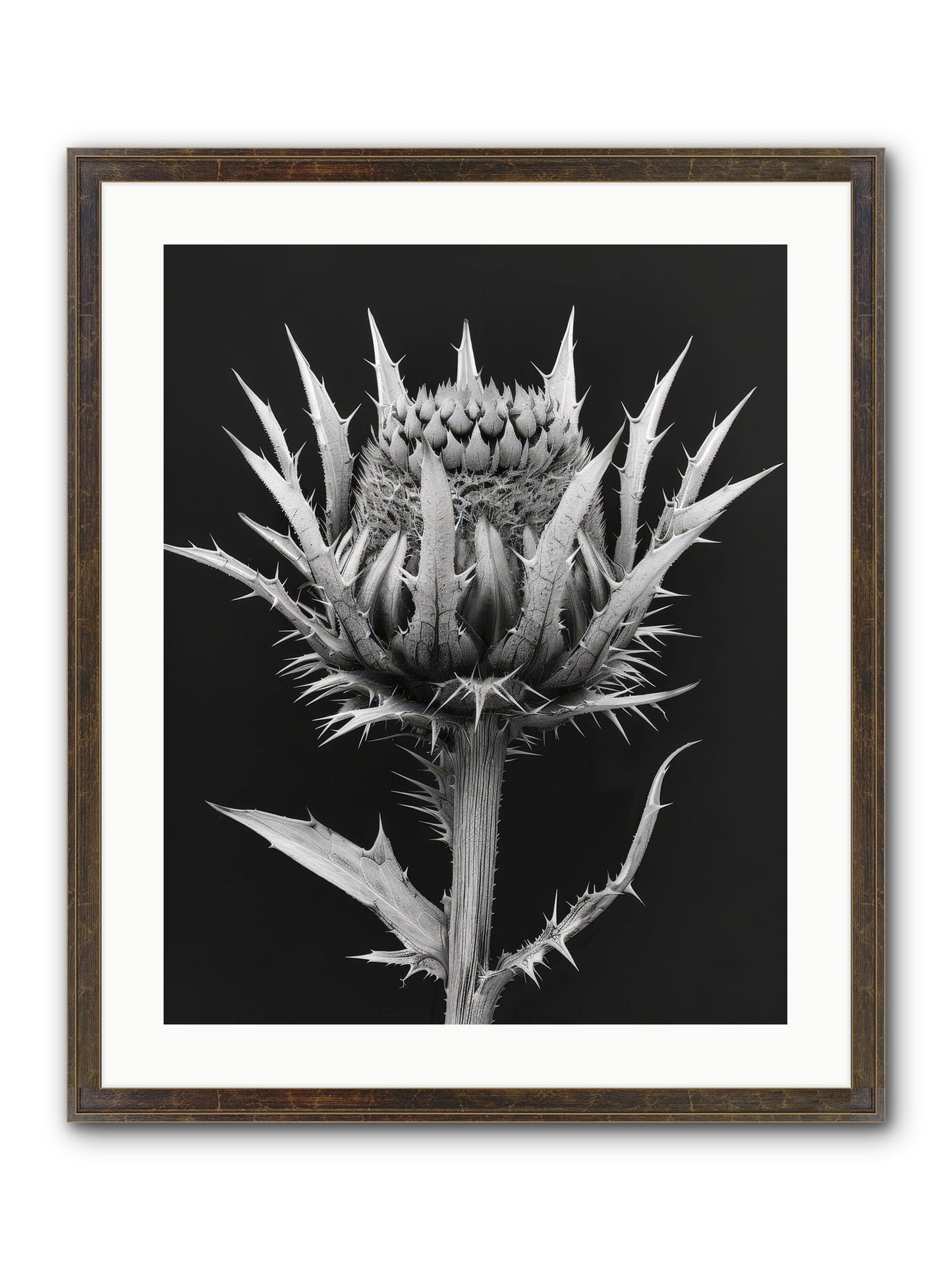 Chardon Bleu Framed Print - Slimwoods Black/Gold 20x25