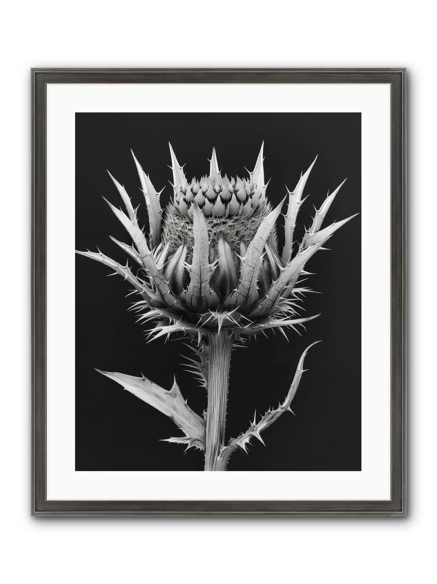 Chardon Bleu Framed Print - Slimwoods Black/Silver 20x25
