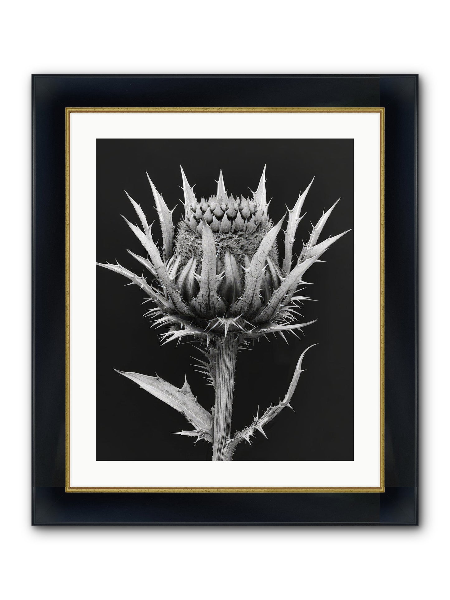 Chardon Bleu Framed Print - Wide Black w/Gold 20x25