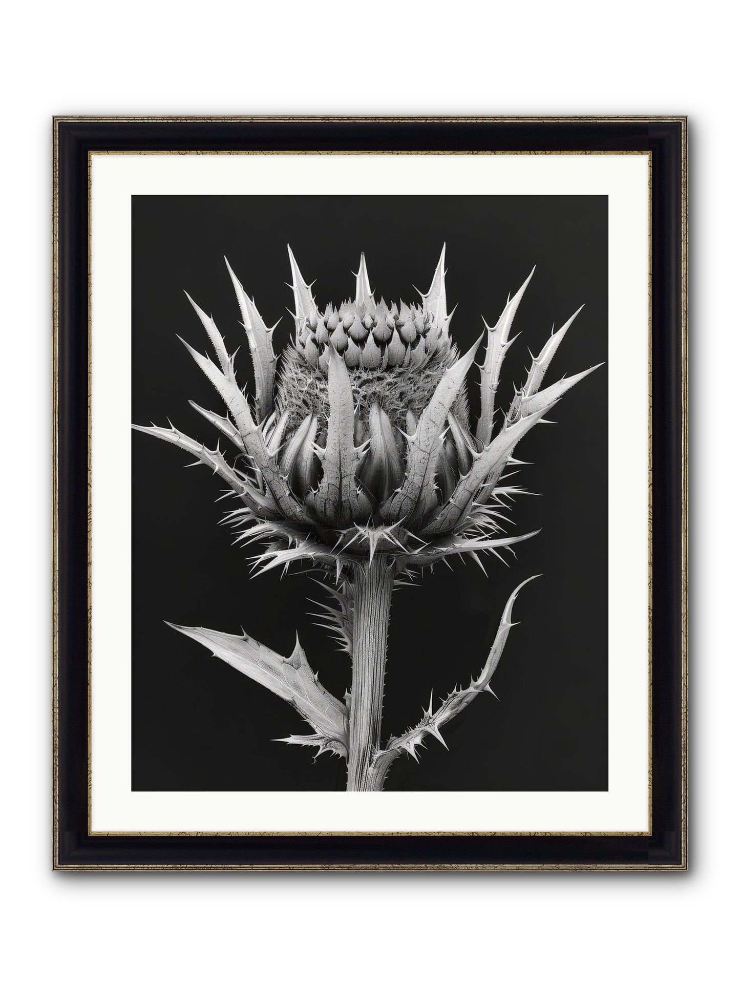 Chardon Bleu Framed Print - Black & Gold 24x30