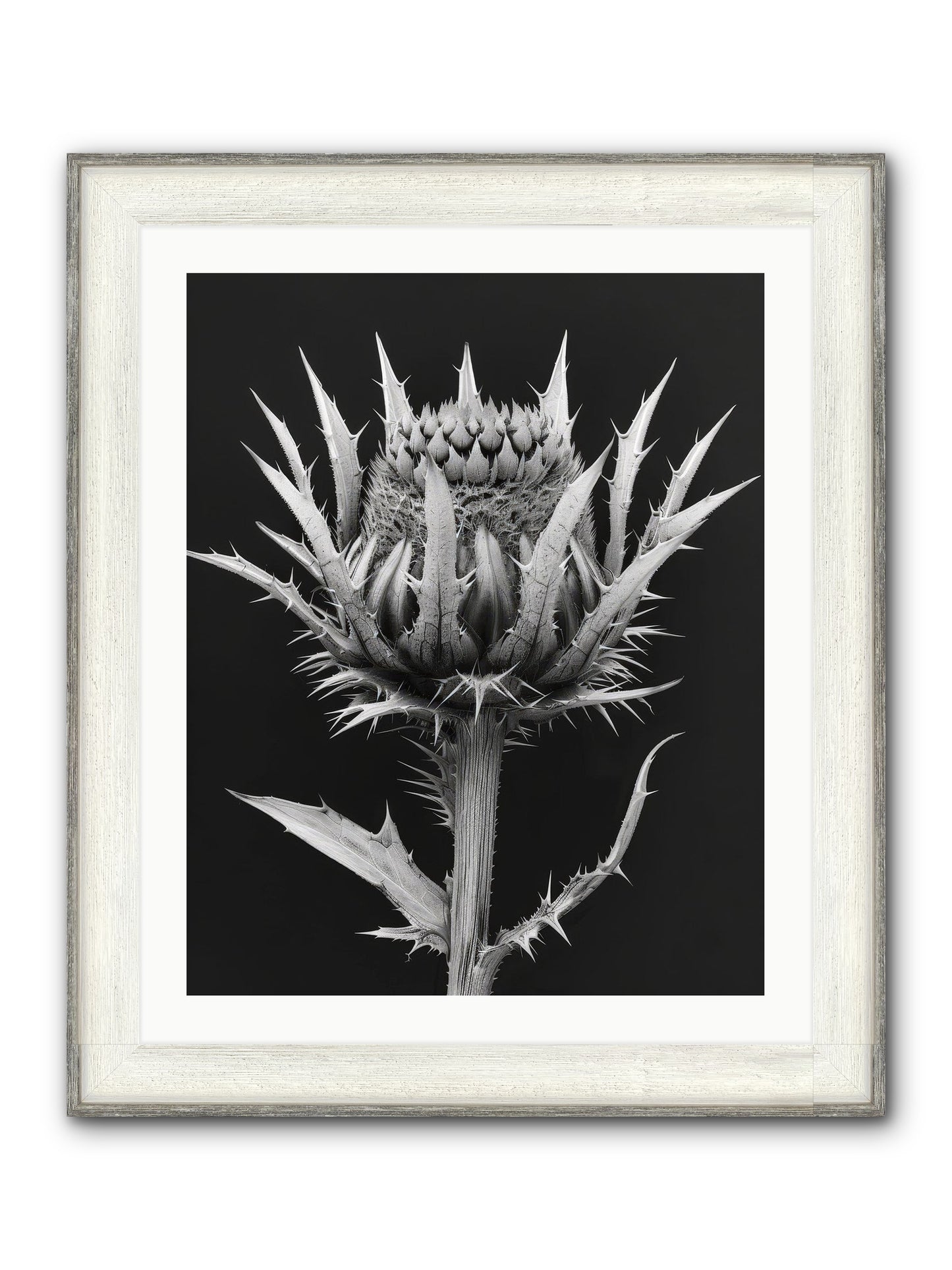 Chardon Bleu Framed Print - Driftwood White 24x30