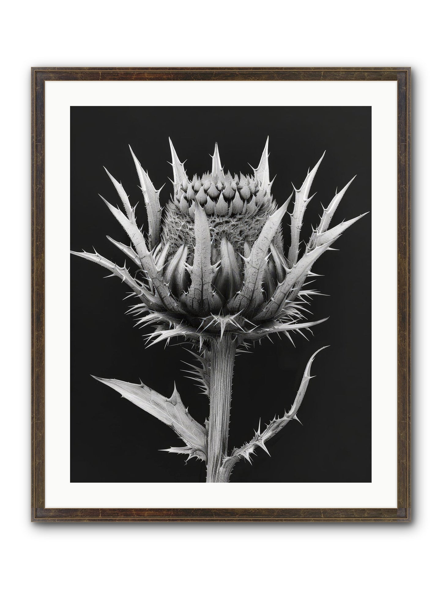 Chardon Bleu Framed Print - Slimwoods Black/Gold 24x30