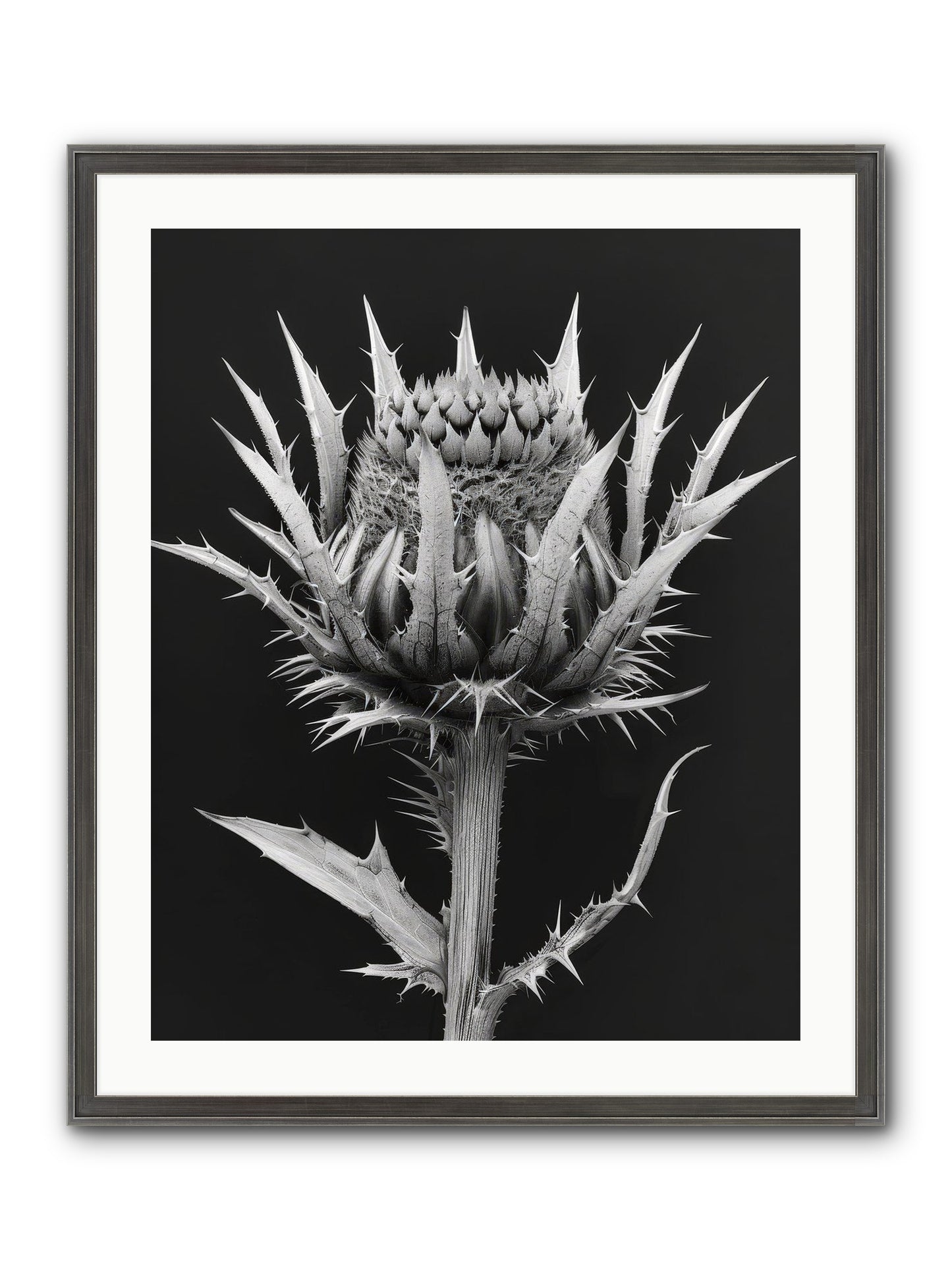 Chardon Bleu Framed Print - Slimwoods Black/Silver 24x30