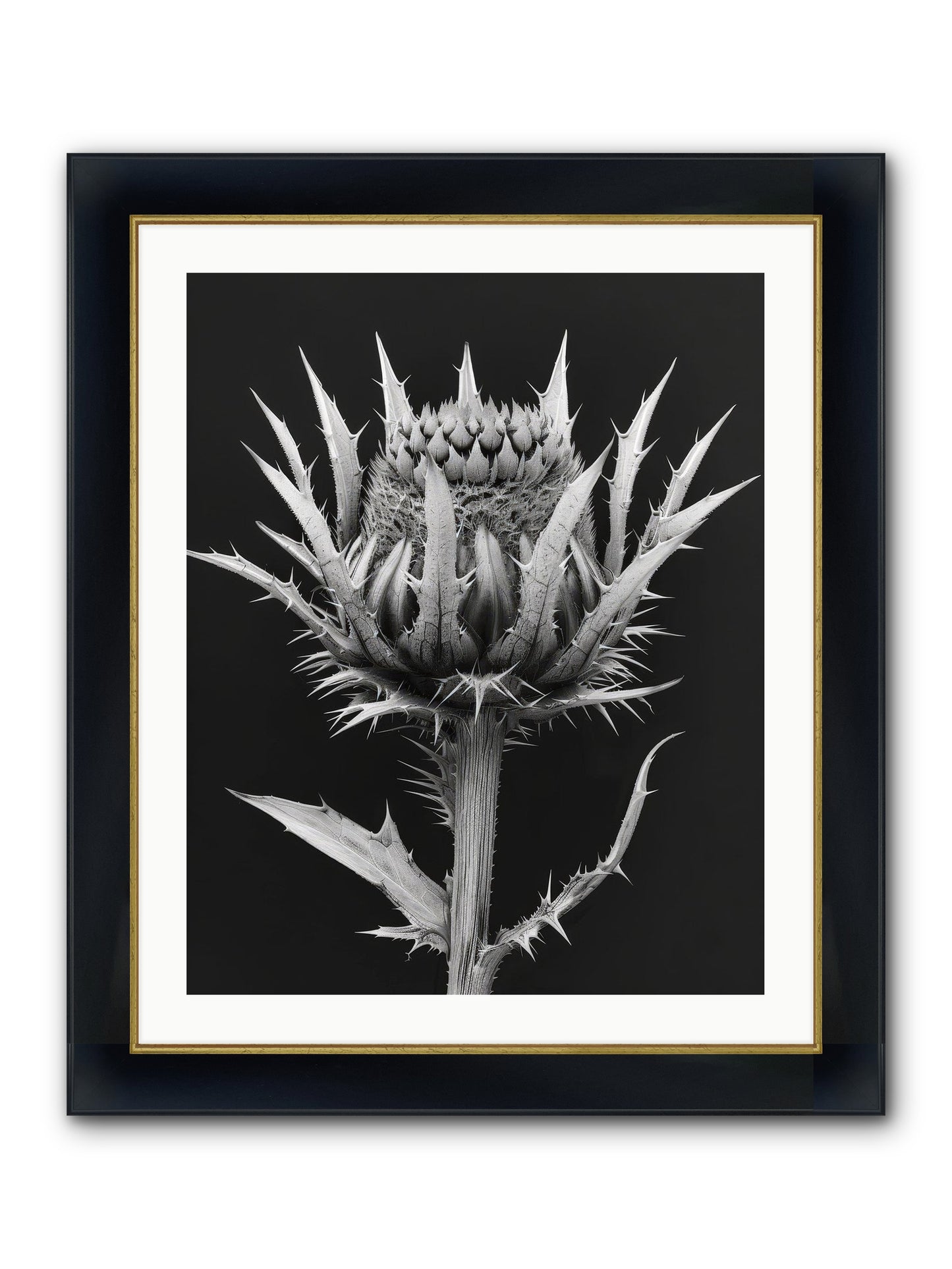 Chardon Bleu Framed Print - Wide Black w/Gold 24x30