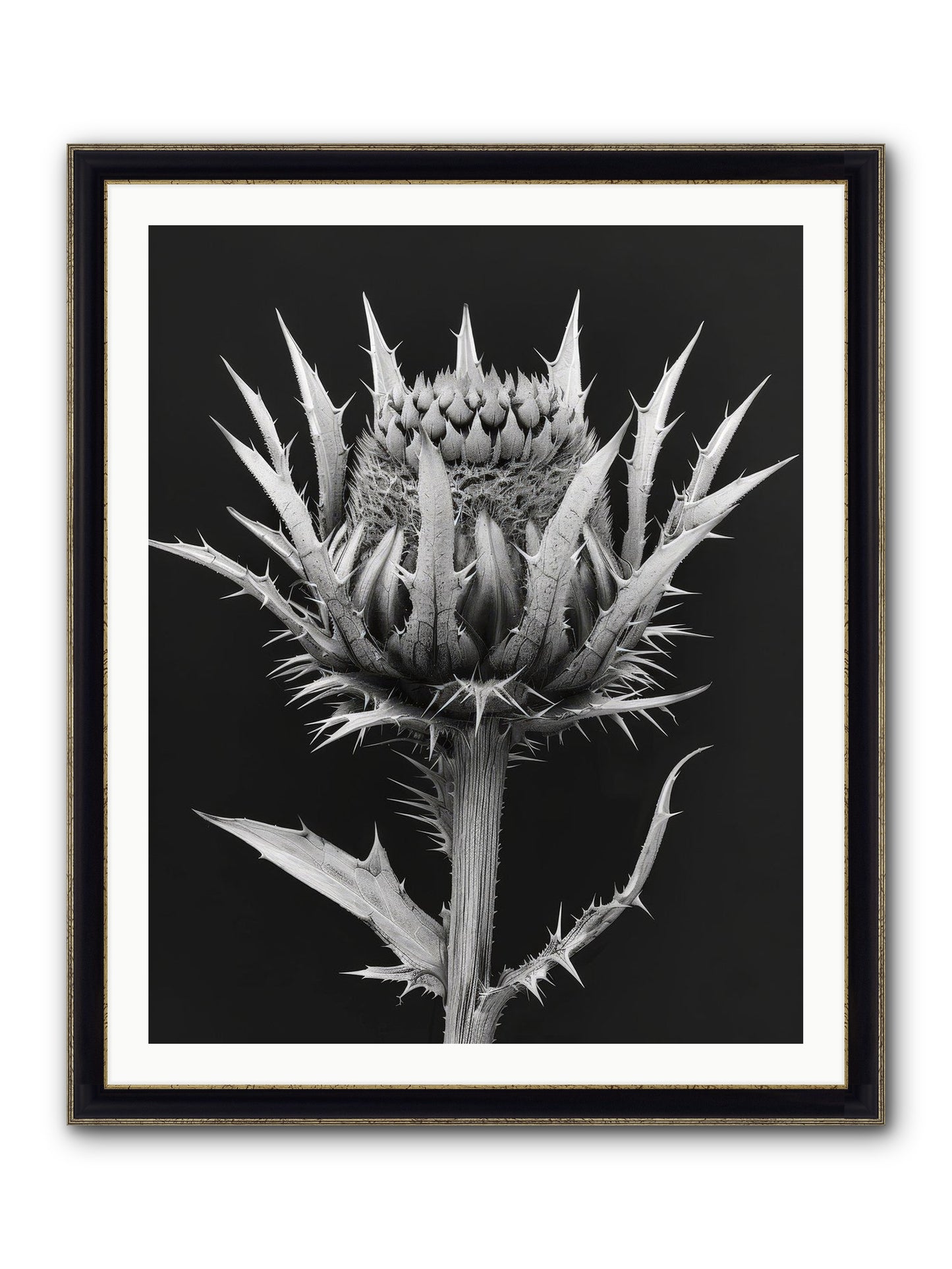 Chardon Bleu Framed Print - Black & Gold 32x40
