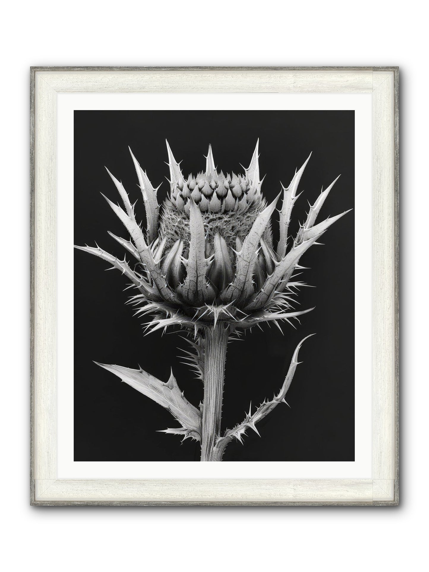 Chardon Bleu Framed Print - Driftwood White 32x40
