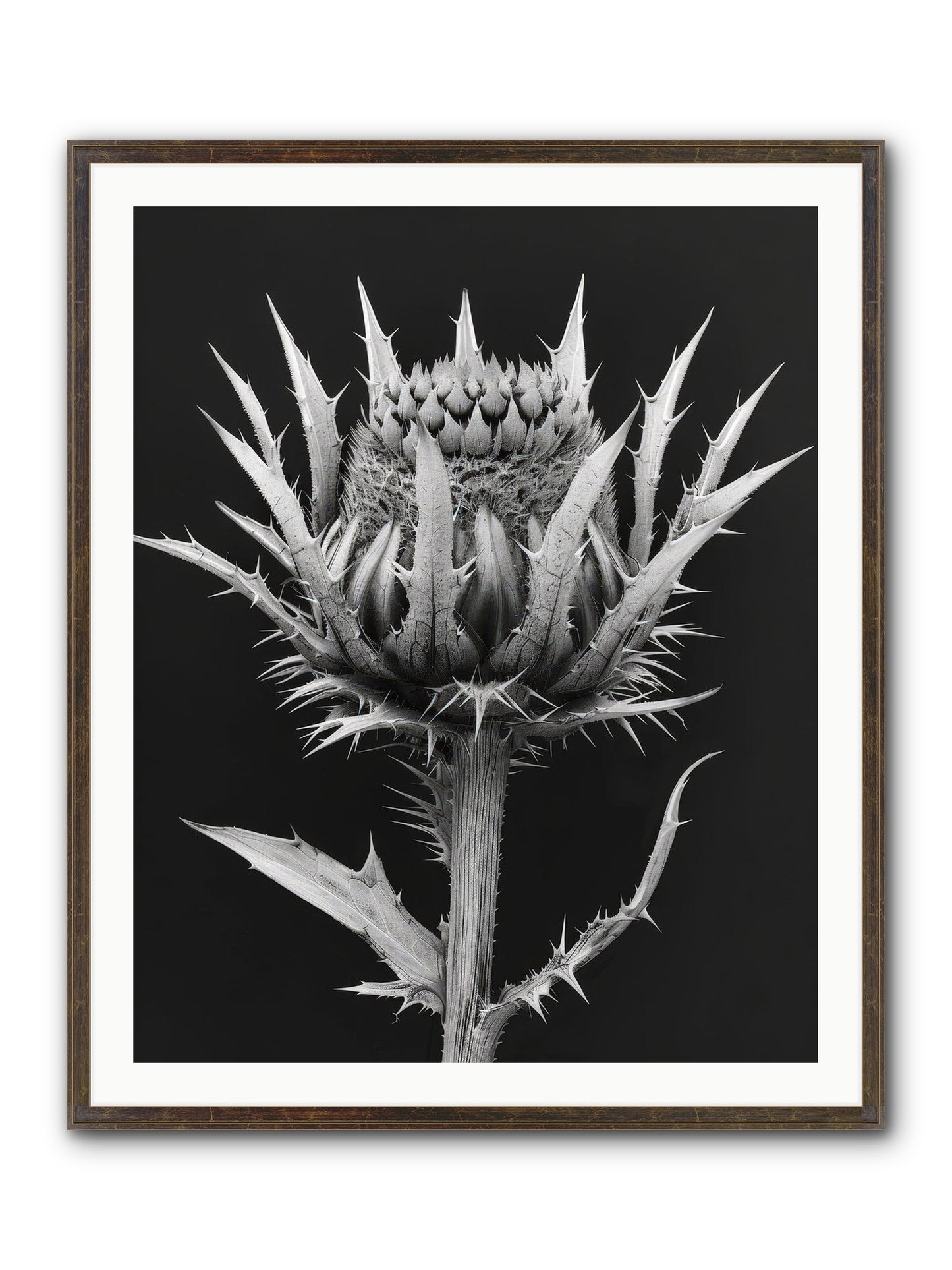 Chardon Bleu Framed Print - Slimwoods Black/Gold 32x40