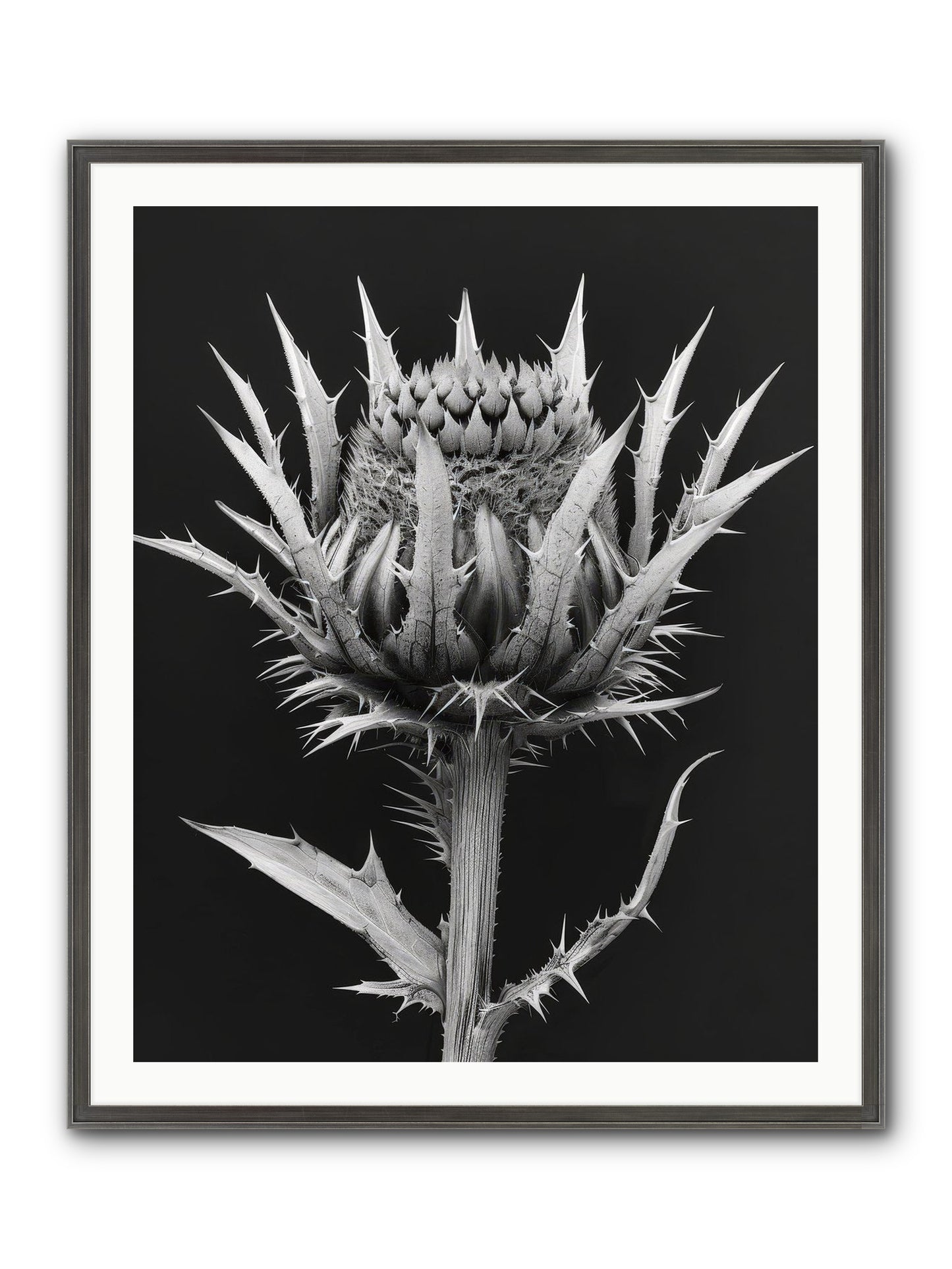 Chardon Bleu Framed Print - Slimwoods Black/Silver 32x40