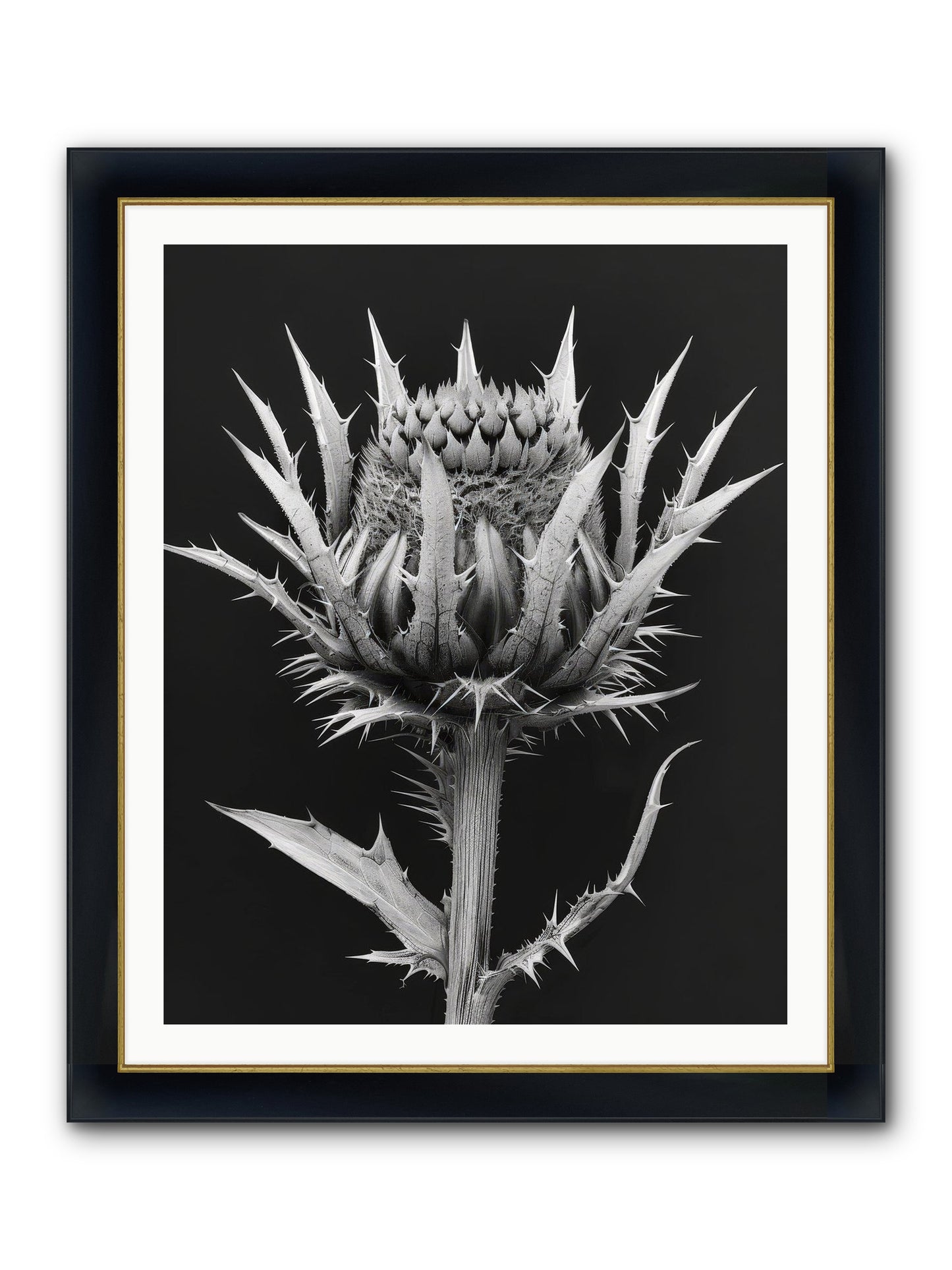 Chardon Bleu Framed Print - Wide Black w/Gold 32x40