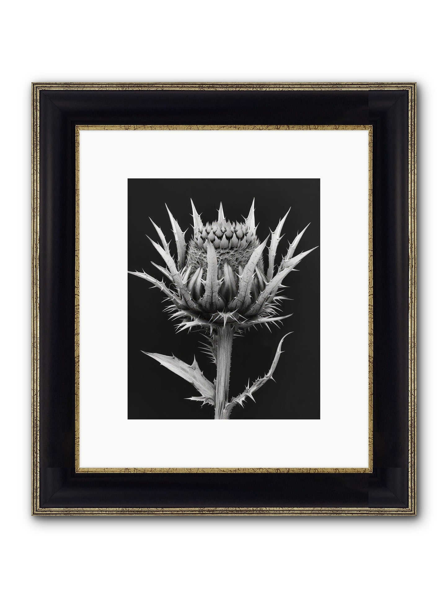 Chardon Bleu Framed Print - Black & Gold 8x10