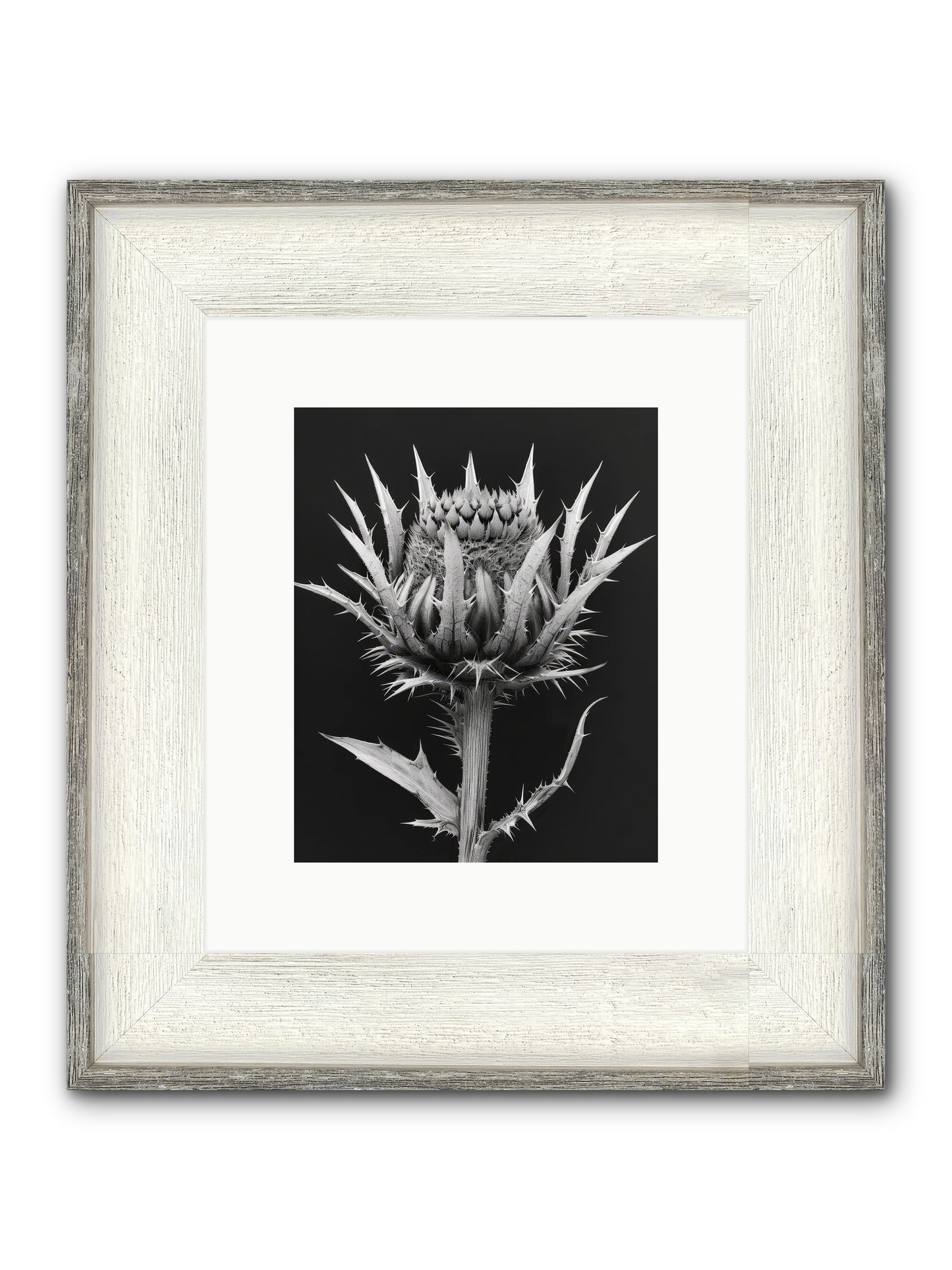 Chardon Bleu Framed Print - Driftwood White 8x10