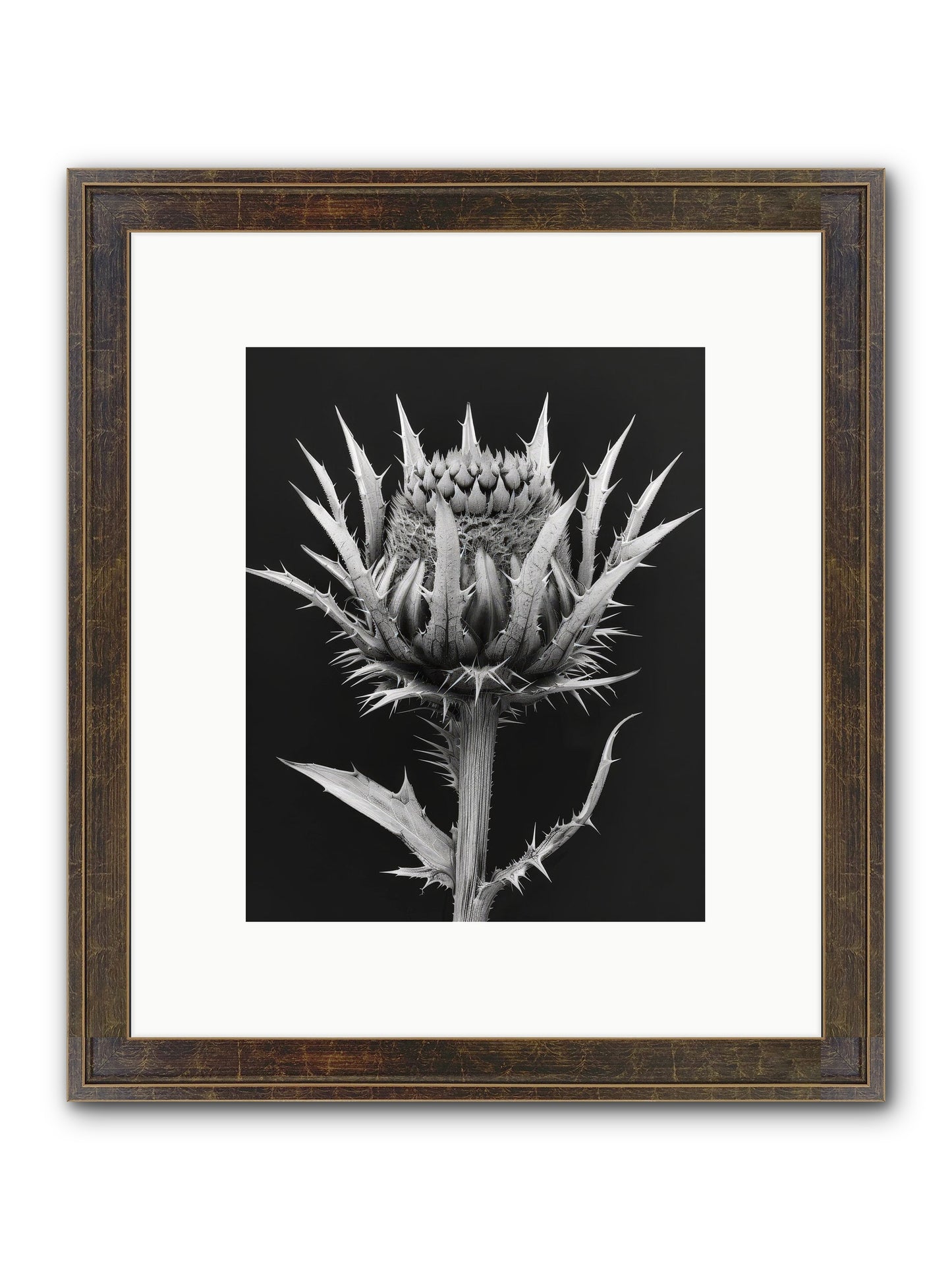 Chardon Bleu Framed Print - Slimwoods Black/Gold 8x10
