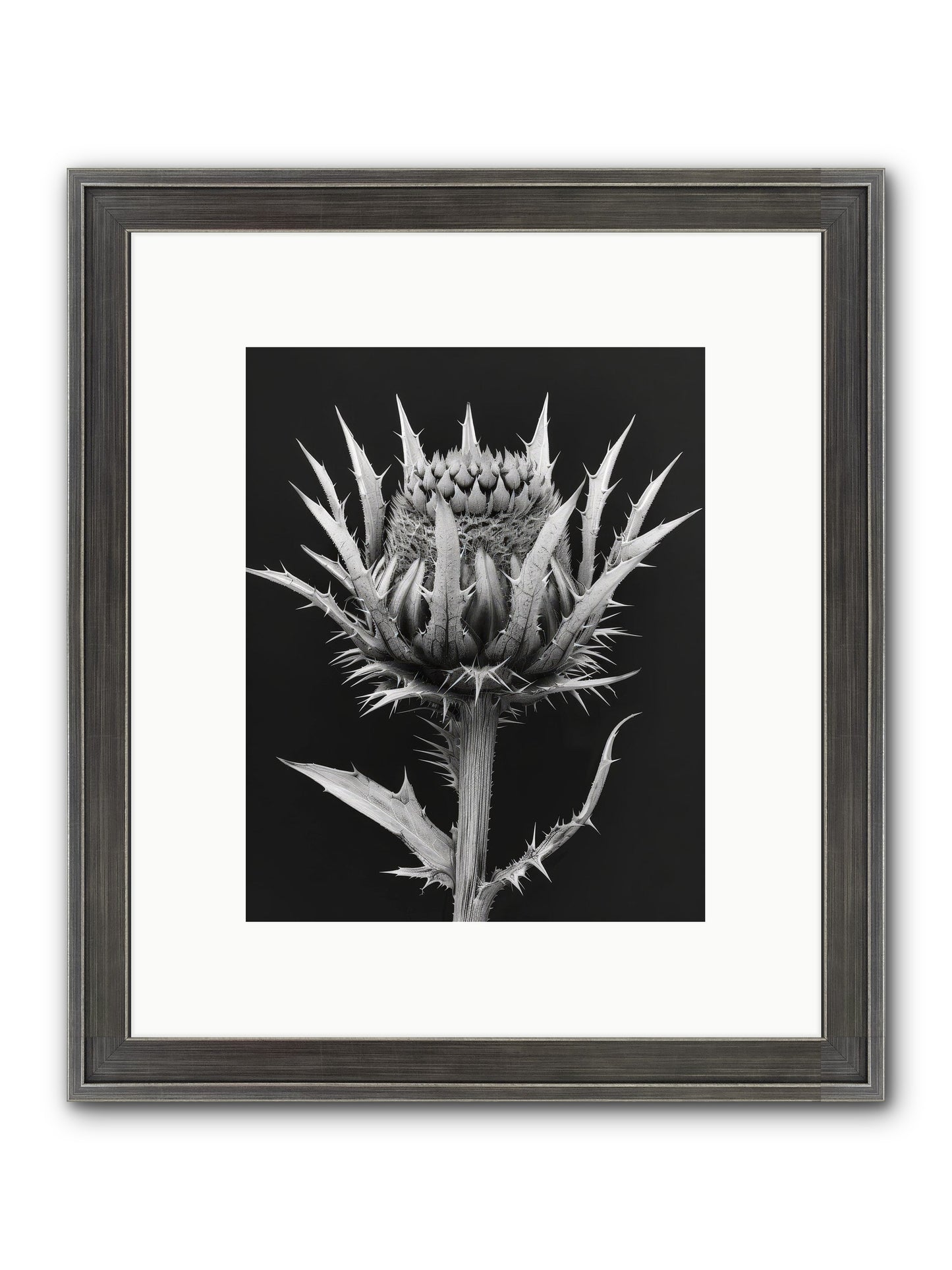 Chardon Bleu Framed Print - Slimwoods Black/Silver 8x10