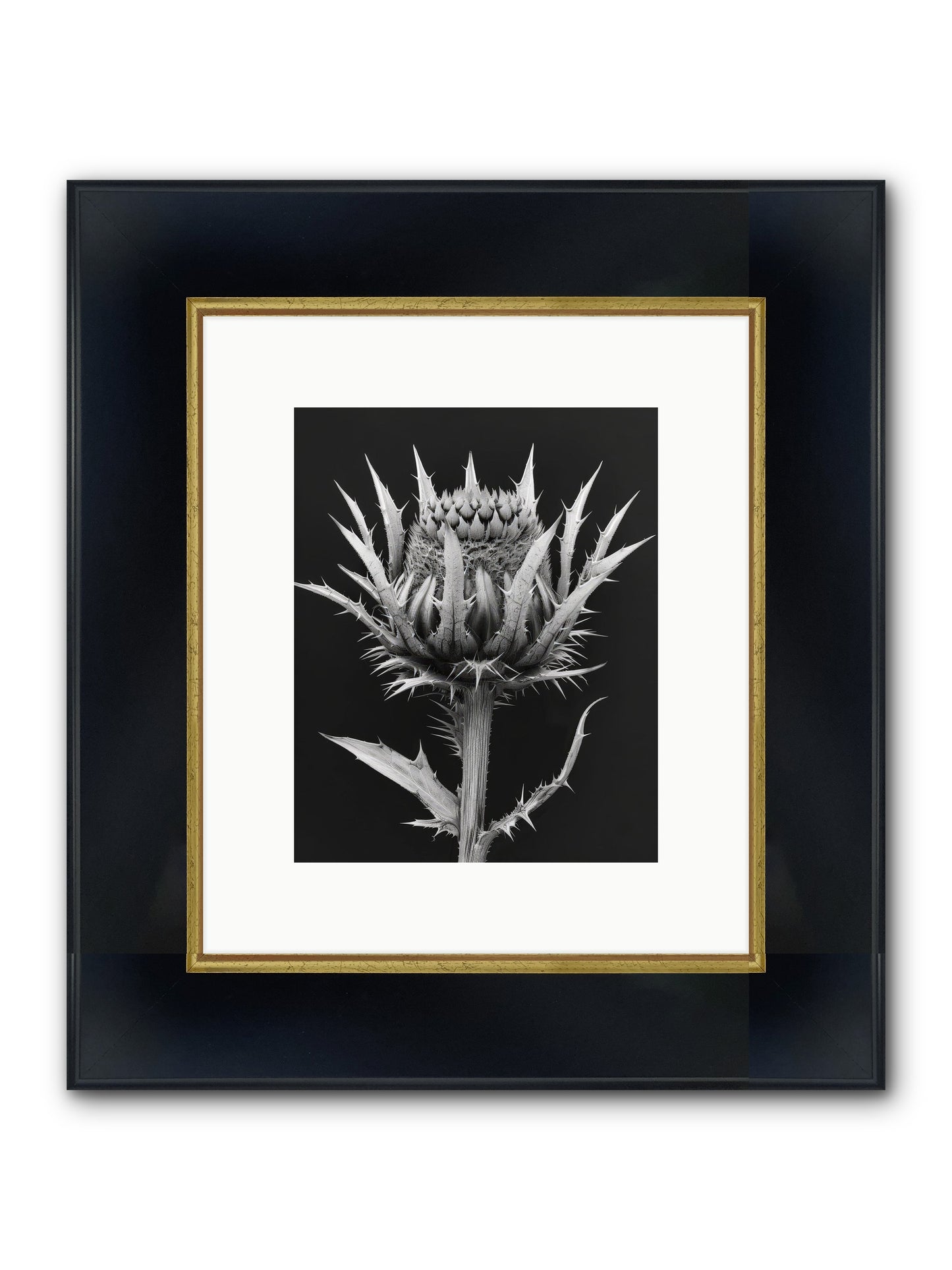 Chardon Bleu Framed Print - Wide Black w/Gold 8x10